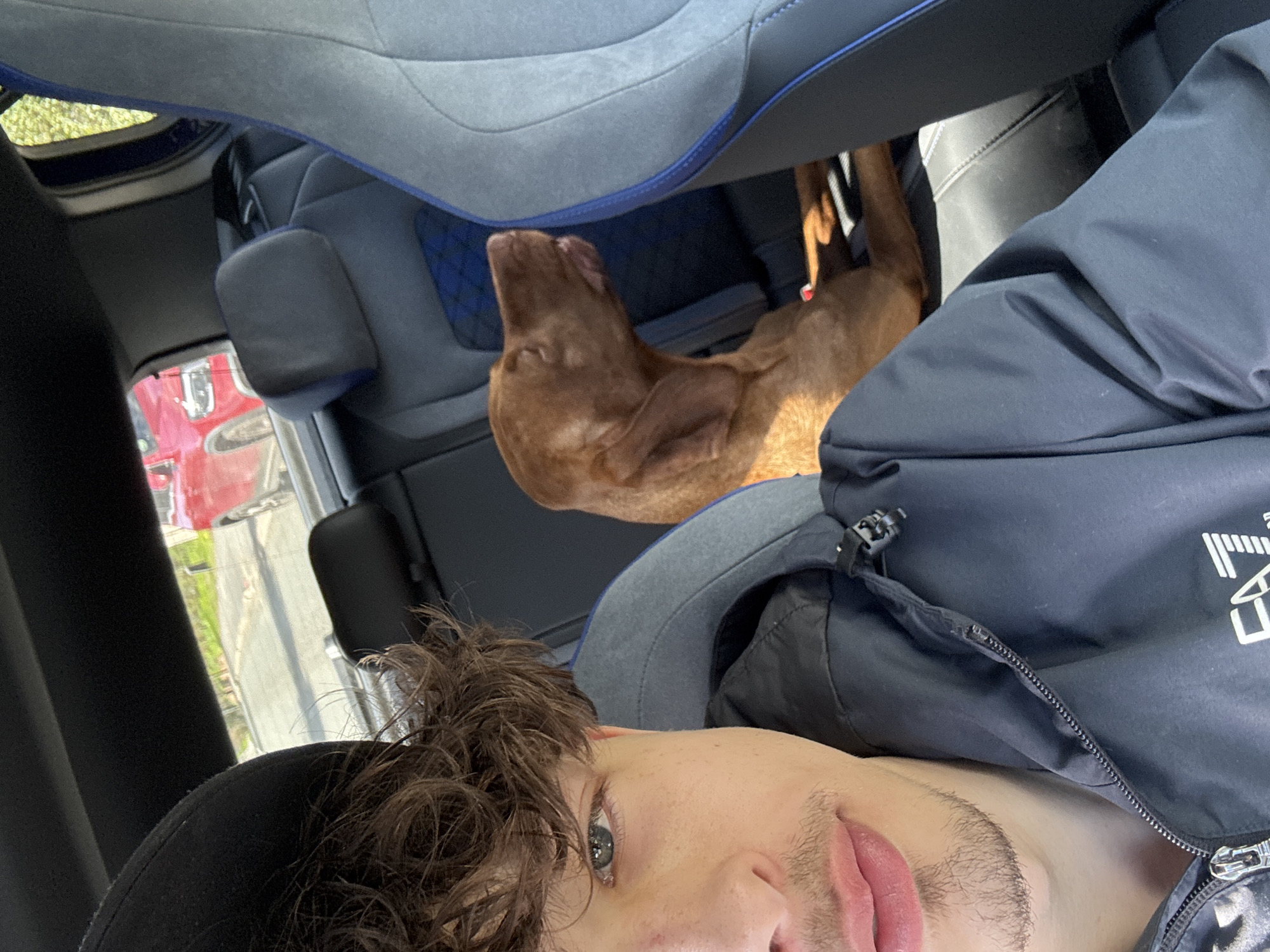 The image shows a man taking a selfie inside a car. A brown dog is lying on the back seat. The vehicle appears to be on a road. Based on the prompt, the location is Broxbourne, United Kingdom, though there are no discernible landmarks to confirm this.