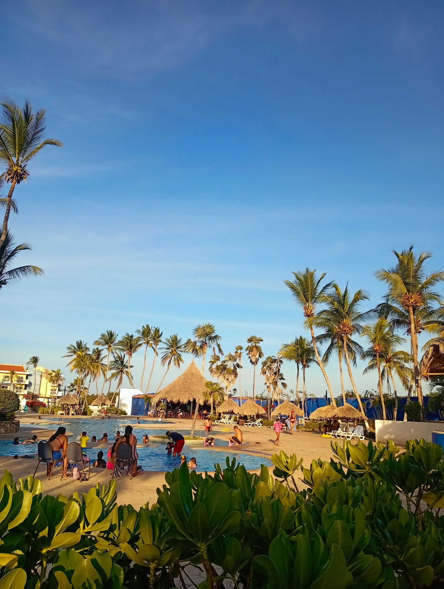 The image depicts a swimming pool area surrounded by tropical vegetation and palm trees, likely in Playa El Agua, Venezuela. A group of people are in and around the pool, engaging in various activities such as swimming and sitting on chairs by the poolside. Several thatched-roof structures offer shade. The sky is a clear blue, suggesting a sunny day. A multi-story building is visible in the background to the left. Green leafy plants are in the foreground. A fence with white posts lines a portion of the area behind the thatched structures.
