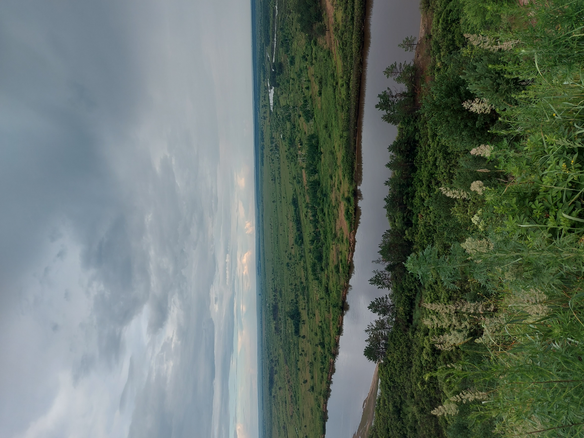 This is a high-angle, wide shot photograph of a wide, calm river winding through a vast, flat green landscape under a cloudy sky. In the foreground, lush green vegetation, including tall grasses and some flowering plants, is prominent. The river, dark and reflective, occupies the mid-ground, with its banks lined by a dense forest of green trees. Beyond the immediate tree line, the landscape opens up into rolling fields and scattered patches of trees, extending towards the horizon. The sky is filled with heavy, grey clouds, with some lighter patches indicating a break in the overcast conditions. The overall impression is one of a serene, natural landscape, likely in a rural or undeveloped area. The image does not contain any people or identifiable structures that would suggest a specific urban location within Shirokii Log, Russia, beyond being representative of its natural environment.