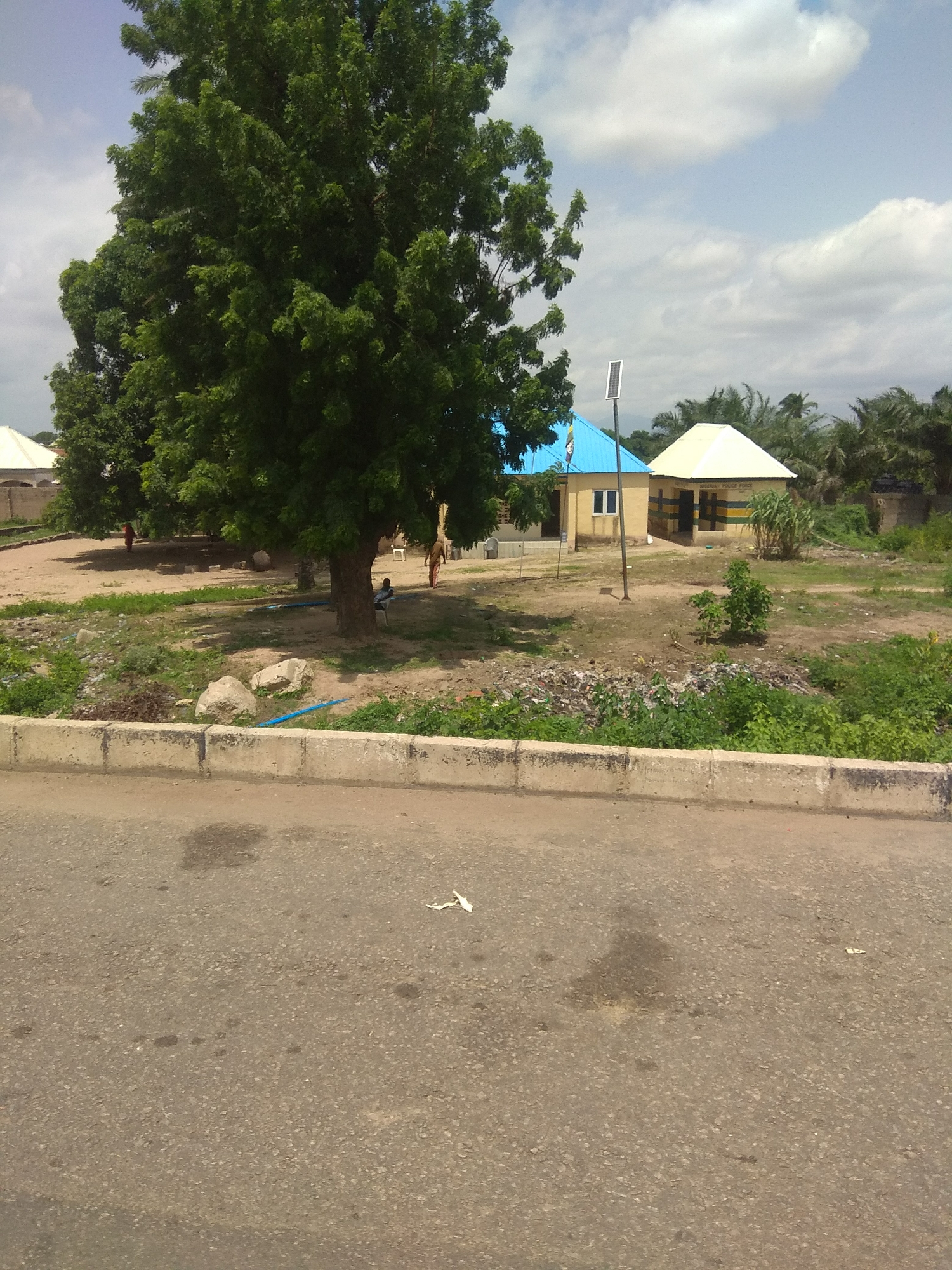 The image captures a street scene in Jalingo, Nigeria. In the foreground, a paved road shows signs of wear with oil stains and debris. A concrete curb separates the road from a dusty, unpaved area. Beyond the curb, a large, leafy tree dominates the left side of the frame, casting shadows on the ground. A solar panel stands near a building with a blue roof in the mid-ground. To the right of the blue-roofed building is another structure with a light-colored, pitched roof, bearing the inscription "NIGERIA POLICE FORCE." A person in orange is visible near this police building, and another person is seated under the large tree. The background features more greenery, including palm trees, and a cloudy sky. The overall environment suggests a semi-urban or rural setting.