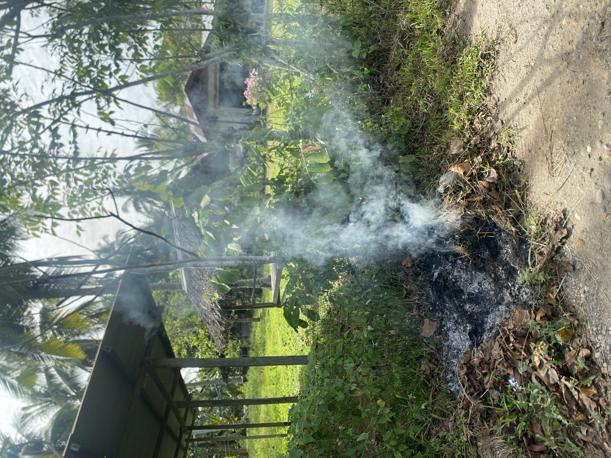 The image shows a pile of burning leaves and debris next to a concrete path. Smoke rises from the charred remnants of the fire. Vegetation, including grass and leafy plants, surrounds the burnt area. In the background, a wooden structure with a thatched roof is visible amongst trees and other buildings. The location is Payadua, Indonesia. No people are visible.
