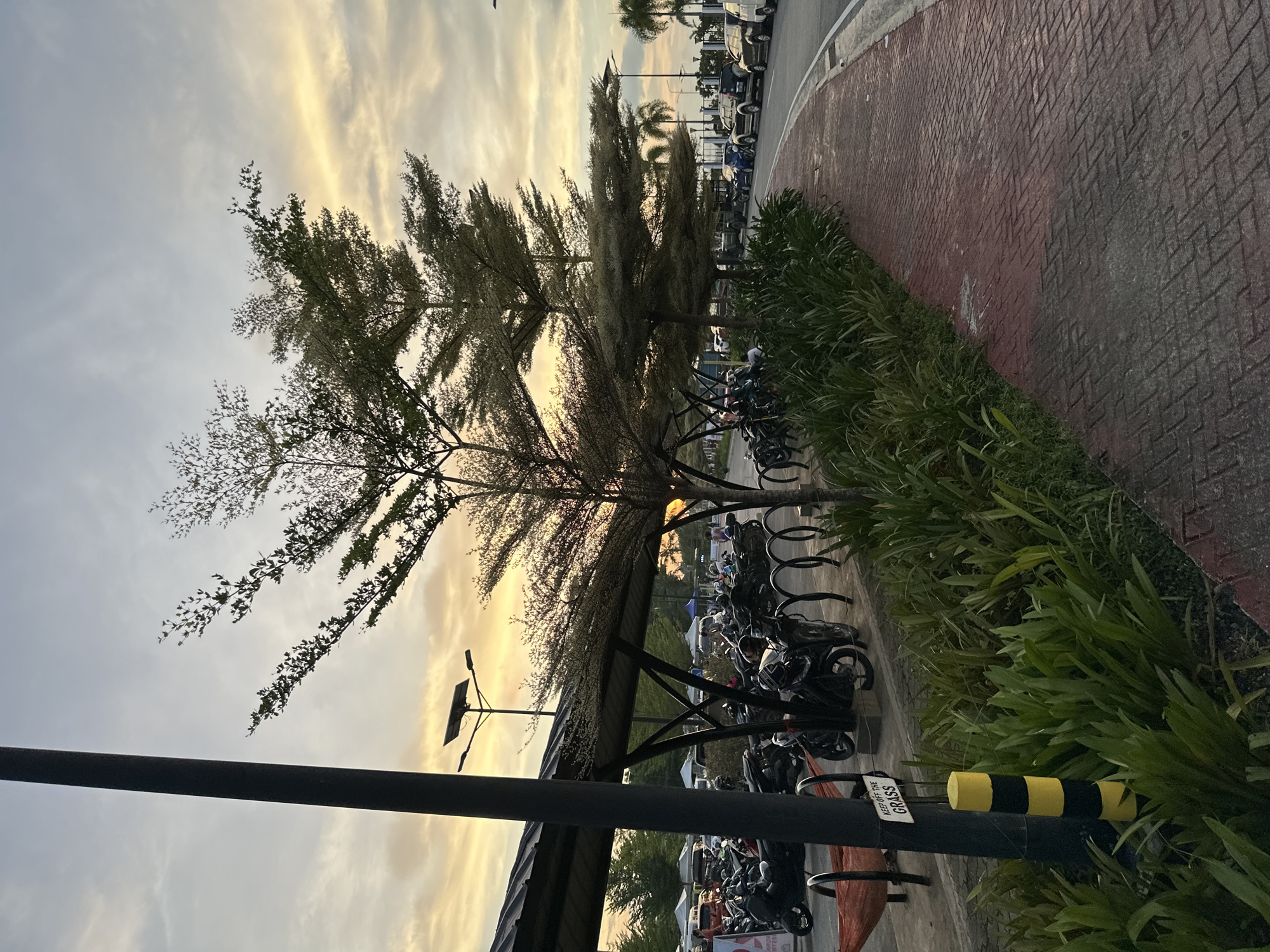 The image depicts an outdoor scene in Davao City, Philippines, likely during the golden hour with a warm sunset casting a glow across the sky. In the foreground, a black lamppost with a yellow and black striped base stands to the left. Next to it, a red bench is visible, accompanied by a sign that reads "KEEP OFF THE GRASS." A red hammock hangs from the lamppost.
Dominating the mid-ground is a covered parking area with a dark roof supported by angled beams. Rows of motorcycles are parked underneath, with some facing forward and others backward. Beyond the covered parking, more vehicles, including cars and white tents, are visible. The trees in the area have a distinct, airy canopy with feathery leaves, characteristic of a Terminalia catappa, commonly known as the "Tropical Almond" or "Kopchay" tree, which are prevalent in Davao.
To the right of the parking area and trees, a paved pathway made of red bricks curves away from the viewer. A road runs alongside the pathway, where several cars are parked or driving. The pathway is bordered by lush green plants and foliage. The sky above is filled with soft, diffused clouds, tinted with hues of yellow and orange from the setting sun. The overall impression is one of a tranquil, urban setting bathed in the warm light of dusk.