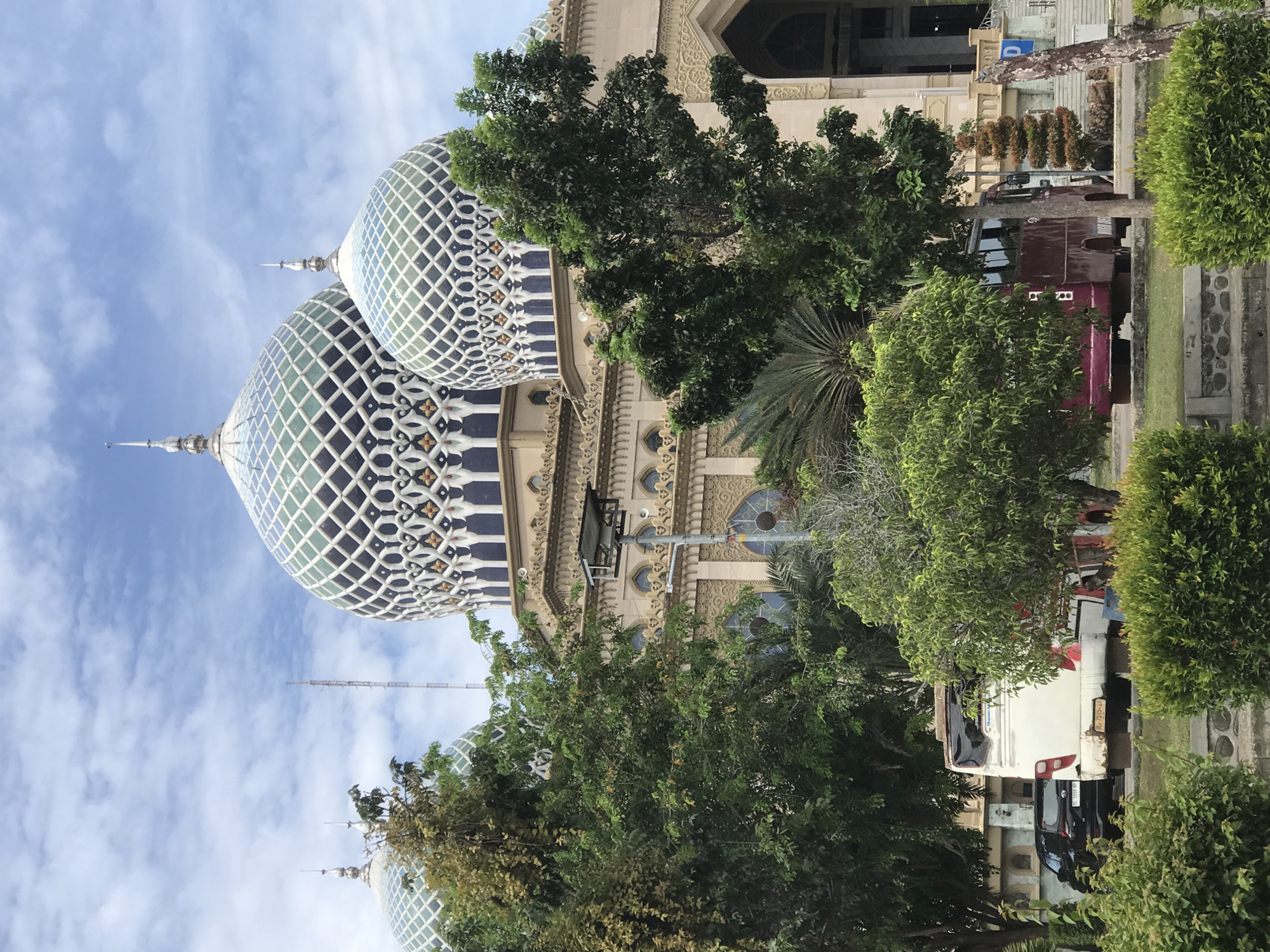 The image captures a mosque in the city of Unknown, Unknown. The mosque features two prominent, patterned domes with spires pointing upwards. The sky above is blue with scattered white clouds. Green trees and bushes partially obscure the base of the mosque and its surroundings. Vehicles, including a bus and cars, are parked nearby, suggesting an urban environment. The building facade displays ornate carvings.