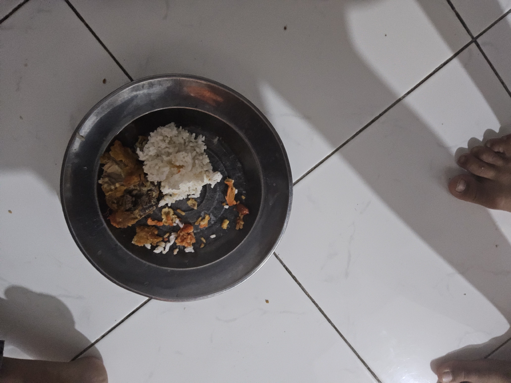 A metallic plate containing rice and fried chicken sits on a tiled floor. The plate is circular with a slightly raised rim. The rice is white and fluffy, piled in one section of the plate. Adjacent to the rice are pieces of fried chicken, some appearing battered and golden brown. Scattered around the plate are smaller pieces of food, possibly remnants of the meal, including some orange-colored items. The floor is tiled with large, square white tiles, with dark grout lines creating a grid pattern. Shadows from an unseen light source cast diagonal lines across the floor and the plate. In the foreground, the feet of two individuals are visible, with one set of feet positioned to the left and the other to the right, suggesting they are near the plate. The overall scene appears to be a casual meal setting on the floor.