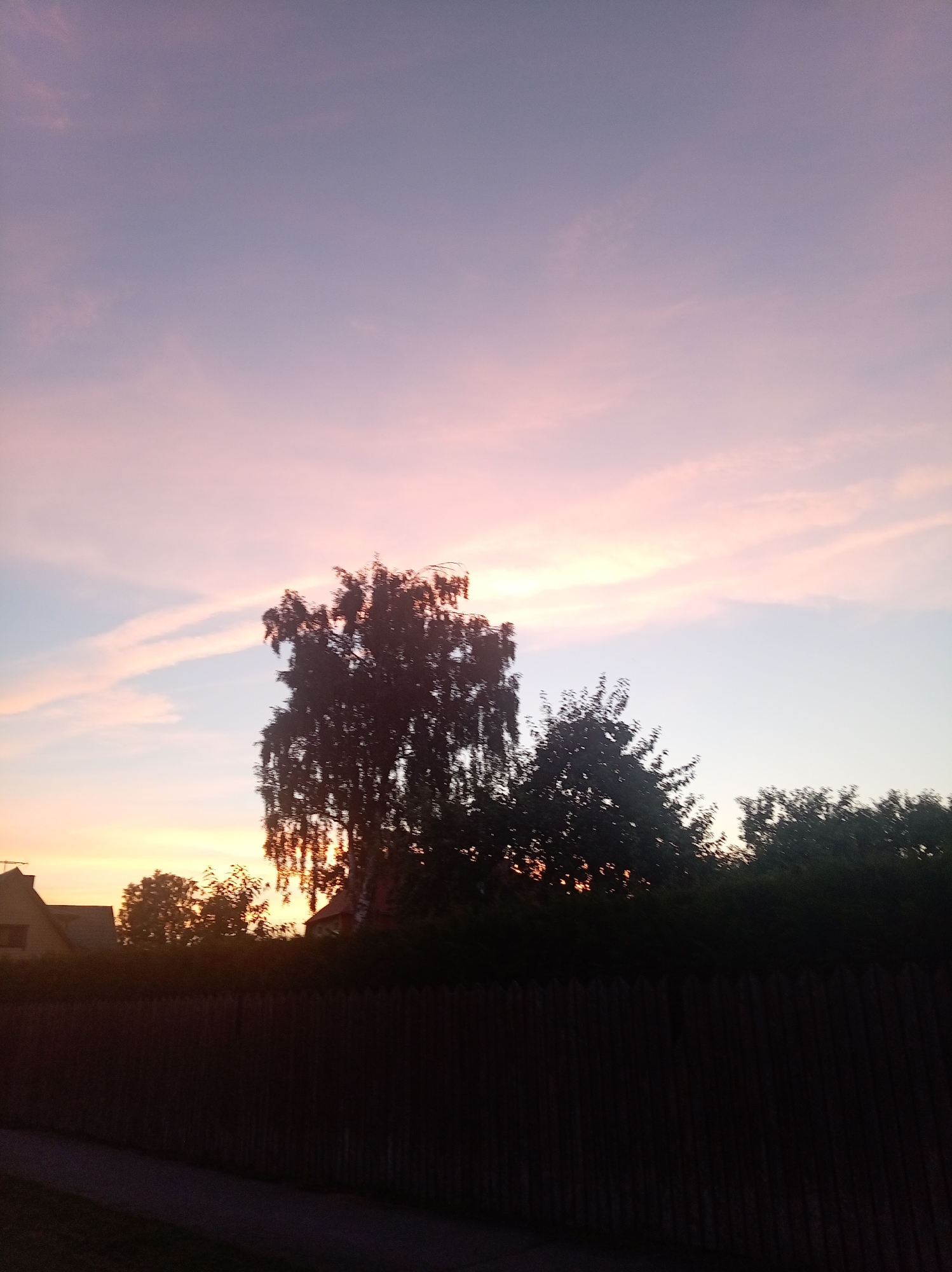 This image captures a serene sunset scene in Tapa, Estonia. The sky is a canvas of soft pinks and purples, transitioning into a lighter blue near the horizon. Wispy clouds streak across the sky, catching the last rays of the sun. Silhouetted against this colorful backdrop are several trees, with a prominent, large deciduous tree dominating the center of the frame. To the left, the rooftops of houses are visible, suggesting a residential area. A wooden fence runs horizontally across the lower portion of the image, partially obscuring the ground and a paved path. The overall impression is one of peaceful twilight in a quiet Estonian town.