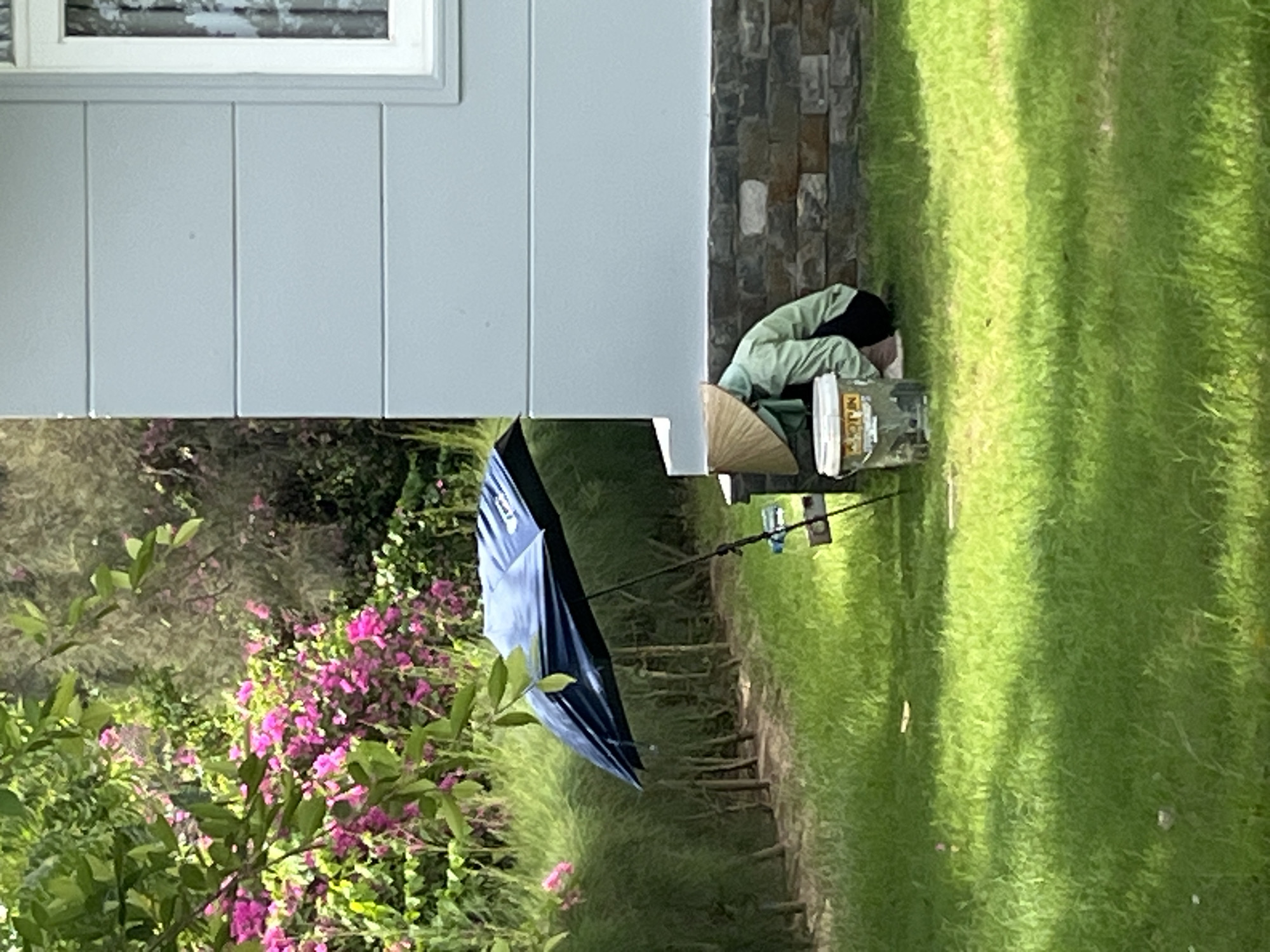 In Phu Thuy Ward, Vietnam, a person wearing a conical hat and a light green shirt crouches beside a white bucket on a grassy lawn. The person is partially obscured by a large, dark blue umbrella angled to the left. The background features a stone-faced building with a white-framed window and dense green foliage with pink flowers. Sunlight casts dappled shadows on the lawn.