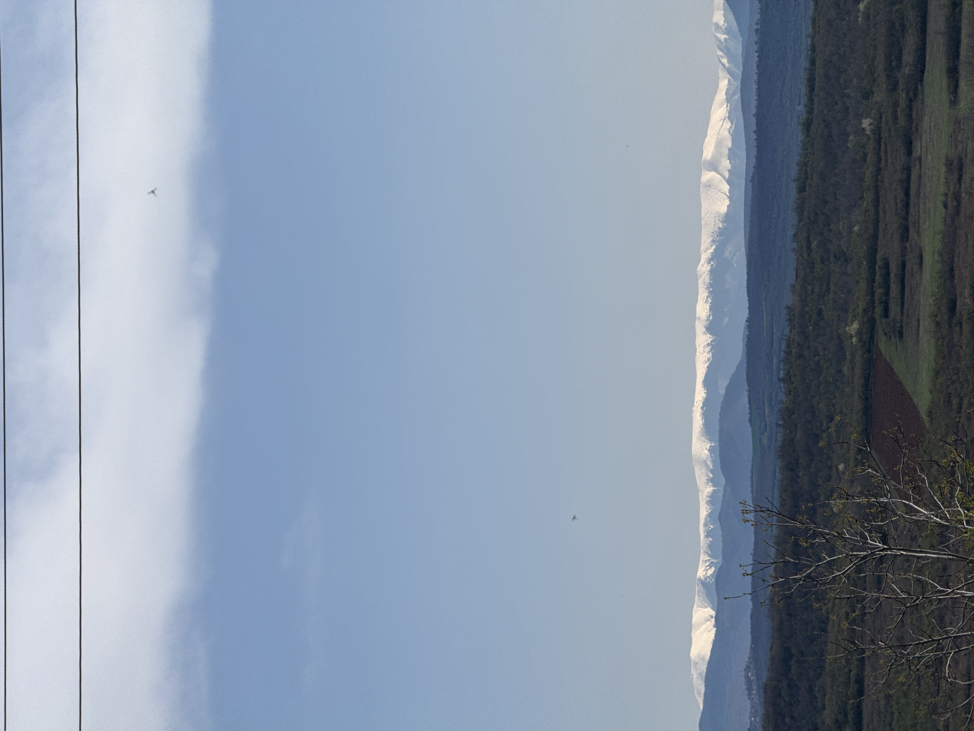 The photograph shows a landscape near Lukovit, Bulgaria. The sky is light blue with some thin, wispy clouds. Power lines run vertically along the left edge of the frame. In the background, there are mountains with snow-capped peaks. The terrain between the foreground and the mountains appears to be covered in forest and fields. A bare tree branch is visible in the lower right corner of the image. There are also small birds in the sky.