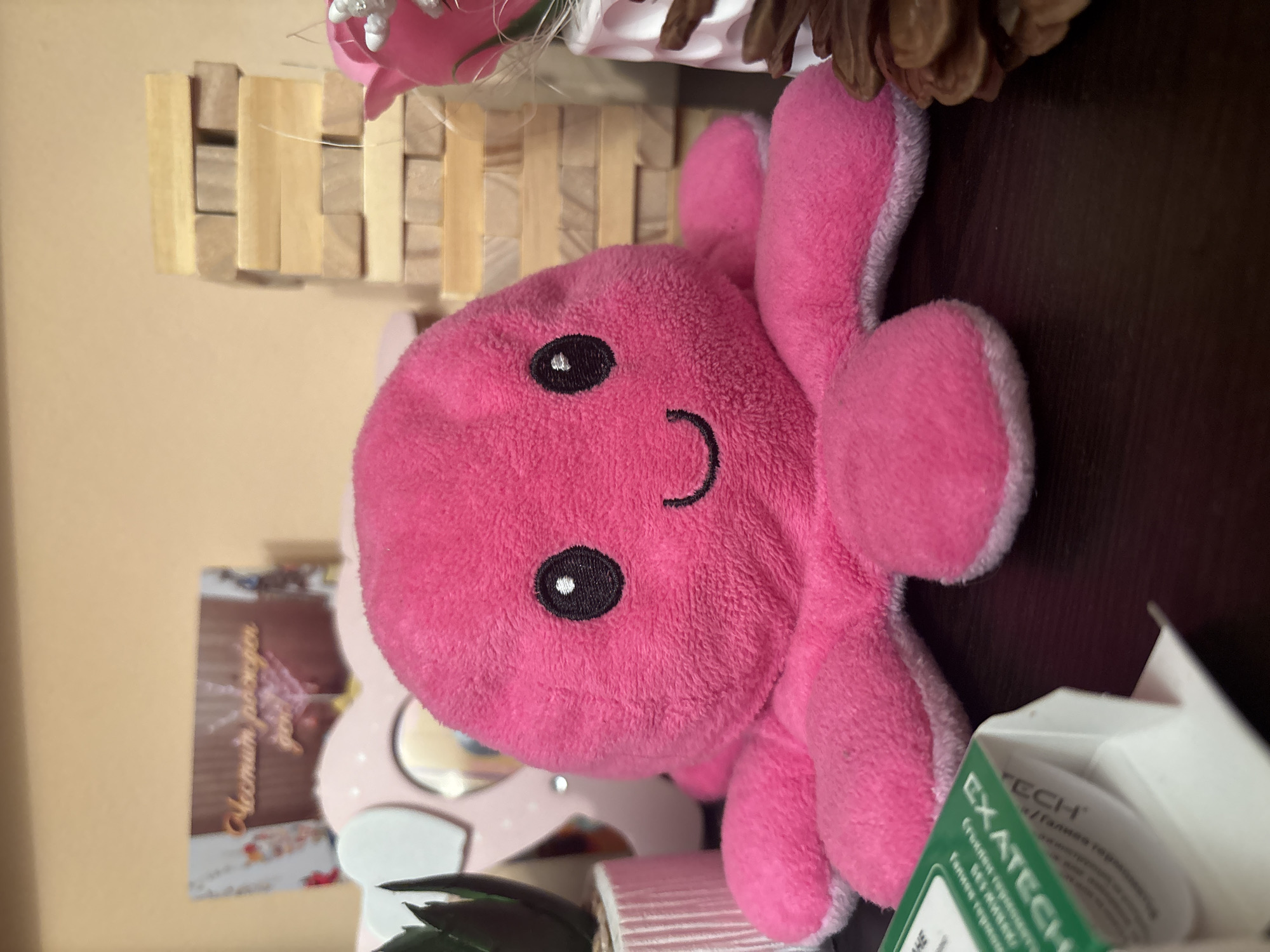 A close-up, slightly canted, indoor shot displays a pink, plush octopus toy with embroidered facial features (eyes and a curved mouth) amidst various objects on a cluttered surface.
Behind the octopus are wooden blocks stacked vertically, partially obscured by a floral arrangement with silver accents and a pine cone.
To the left, partially visible, is a pink, decorative item with mirrors and a postcard or note written in a Cyrillic alphabet.
On the right, a box labeled "EXATECH" with text also in Cyrillic, is partially visible. A green leaf of a plant is located at the bottom left corner of the image.
The surface appears to be a dark brown shelf or table.
There is no discernible information in the image to definitively determine that the location is in the city of Plovdiv, Bulgaria. The conclusion to the Plovdiv location is inferred from the Cyrillic alphabet found on the box label in the image.
