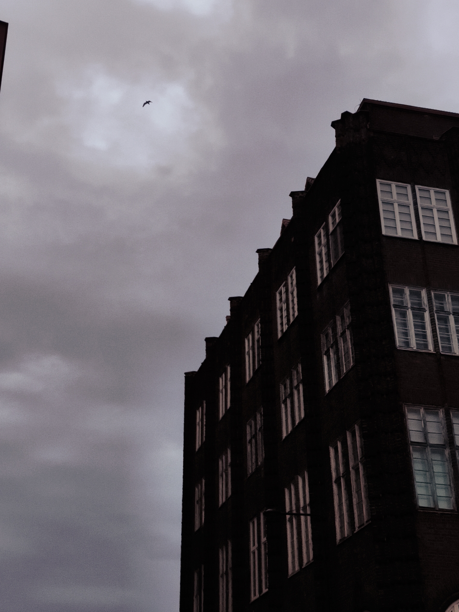 The image shows the dark brick facade of a building with many windows, seen from a low angle looking up against a cloudy sky. A bird is visible flying in the sky. The building appears to be in an urban setting. Based on its distinctive architectural style, with stepped gables and dark brickwork, this building is likely located in the city of Gdańsk, Poland, possibly on one of the historic streets like Ulica Mariacka or along the Motława River.