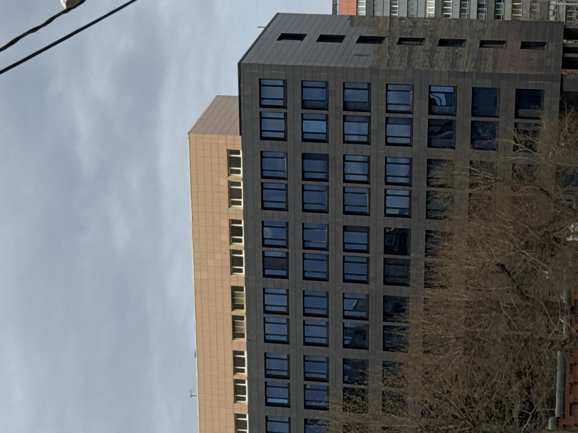 Two buildings are visible against a cloudy sky. The taller building is clad in dark, rectangular blocks with evenly spaced, square windows. A shorter building, clad in lighter, tan rectangular blocks with vertical, narrow windows, is adjacent to the taller building. Trees with bare branches are in the foreground. The location is likely Perm, Russia, based on architectural styles and the overall aesthetic of the image.