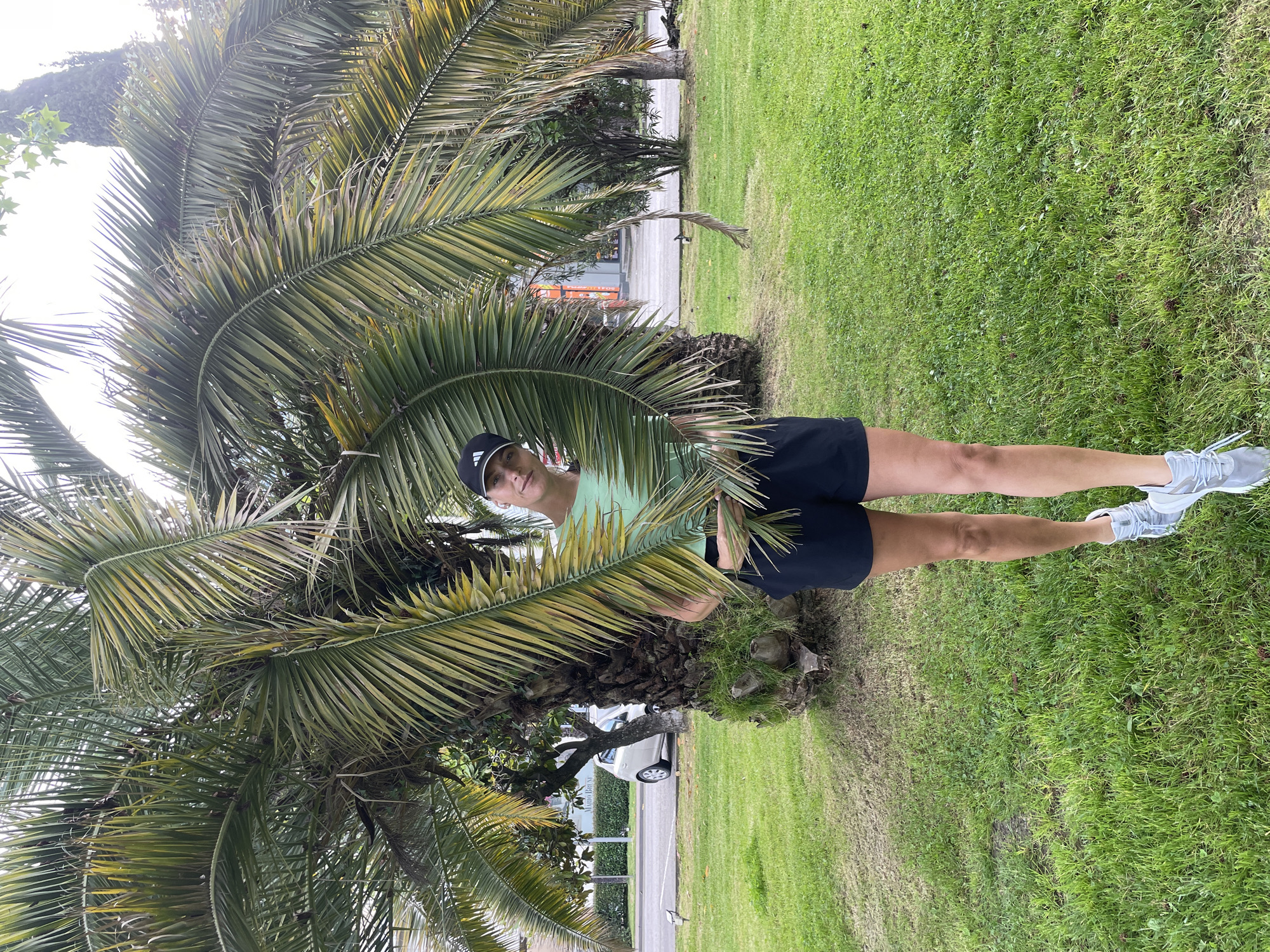 A person wearing a black baseball cap, light green shirt, black shorts, and light blue sneakers is standing behind a palm tree in a grassy area. A paved street and a building are visible in the background. The location is suspected to be in Sochi, Russia.