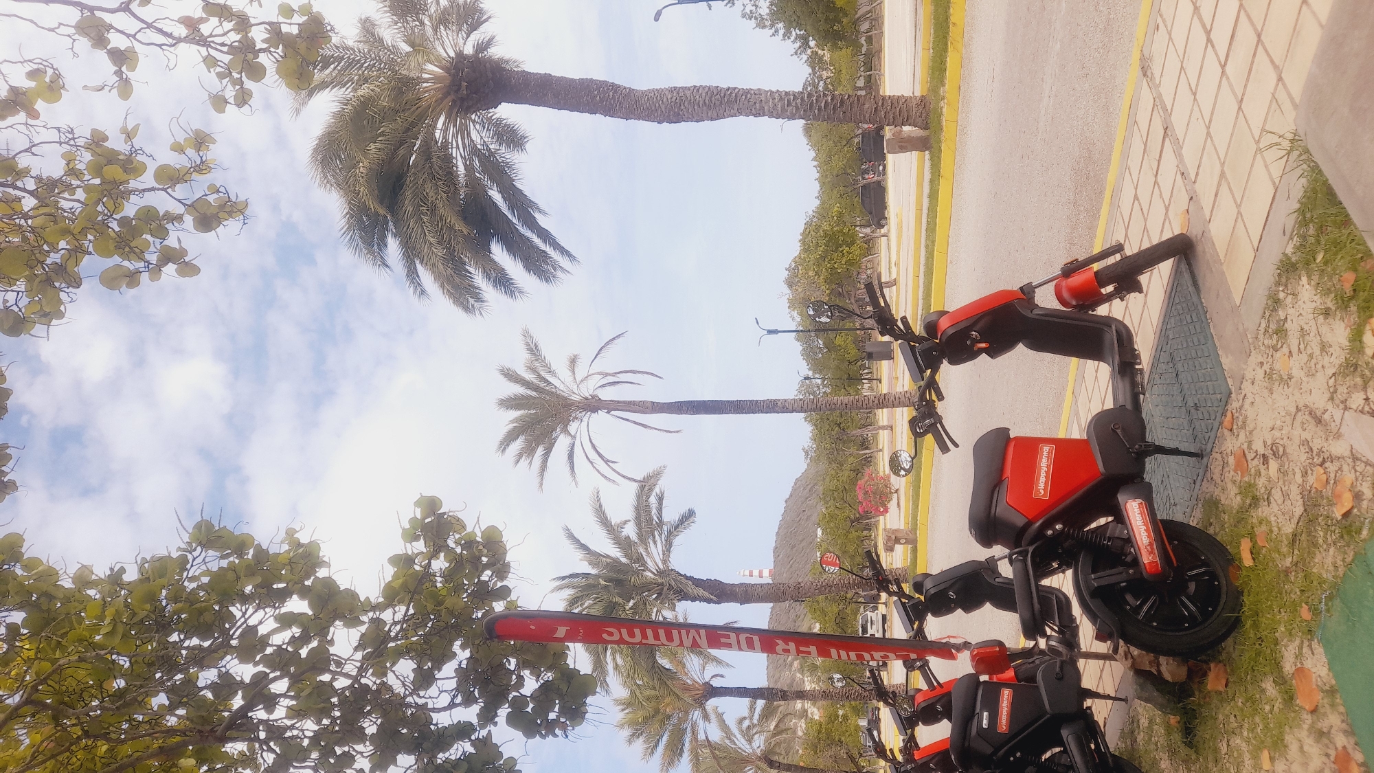 The image depicts a row of red electric scooters parked on a sidewalk next to a road. In the foreground, several scooters are visible, some bearing the "Happy Rental" logo. A tall red sign with white lettering, which appears to read "ALQUILER DE MOTOS" (Motorcycle Rental), stands vertically to the left of the scooters. Beyond the scooters, palm trees line a street with a few parked cars and a distant lighthouse on a hill. The sky is partly cloudy, and the overall scene suggests a warm, tropical environment. The location is identified as Pedro González, Venezuela.