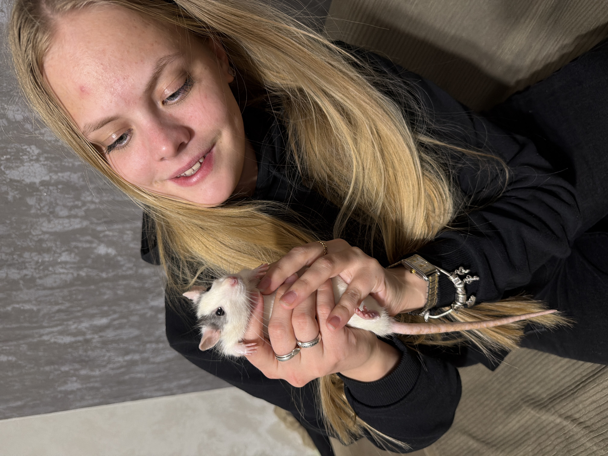 A fair-skinned young woman with long blonde hair, wearing a black hoodie and dark pants, is holding a white and gray rat in her hands. She is smiling and looking down at the rat. She is wearing multiple rings and a watch. The background shows a gray wall and a beige upholstered surface, potentially a couch. There is no information available that specifies this photo was taken in Chaikovsky, Russia.