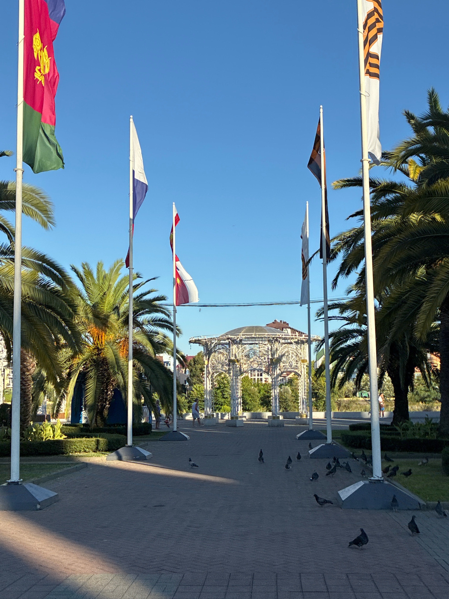 The image depicts an outdoor paved walkway lined with palm trees and several flags flying from tall poles. In the background, a decorative white gazebo-like structure is visible, with a building behind it. The sky is clear and blue. Pigeons are scattered across the walkway. The overall setting suggests a public park or promenade in a warm climate. Given the architectural style and presence of palm trees, this scene is likely in Sochi, Russia.