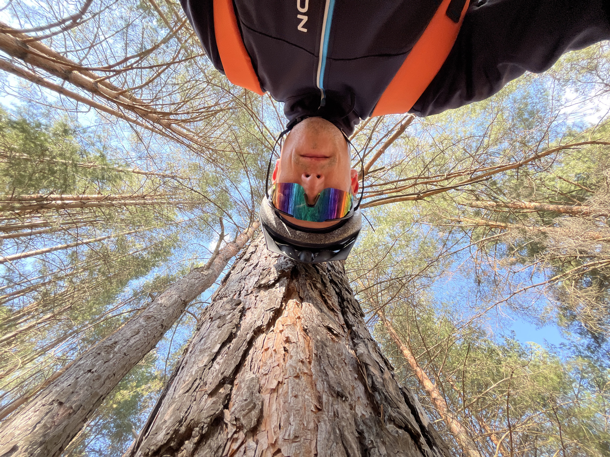 A low-angle selfie photograph shows a man wearing a cycling helmet and multicolored sunglasses upside down, with a tree trunk in the foreground and other trees and the sky in the background. The man is wearing a black and orange jacket. The tree bark is rough and textured. Thin branches extend upward to the sky. The location is a forest. The city is not discernible from the image.
