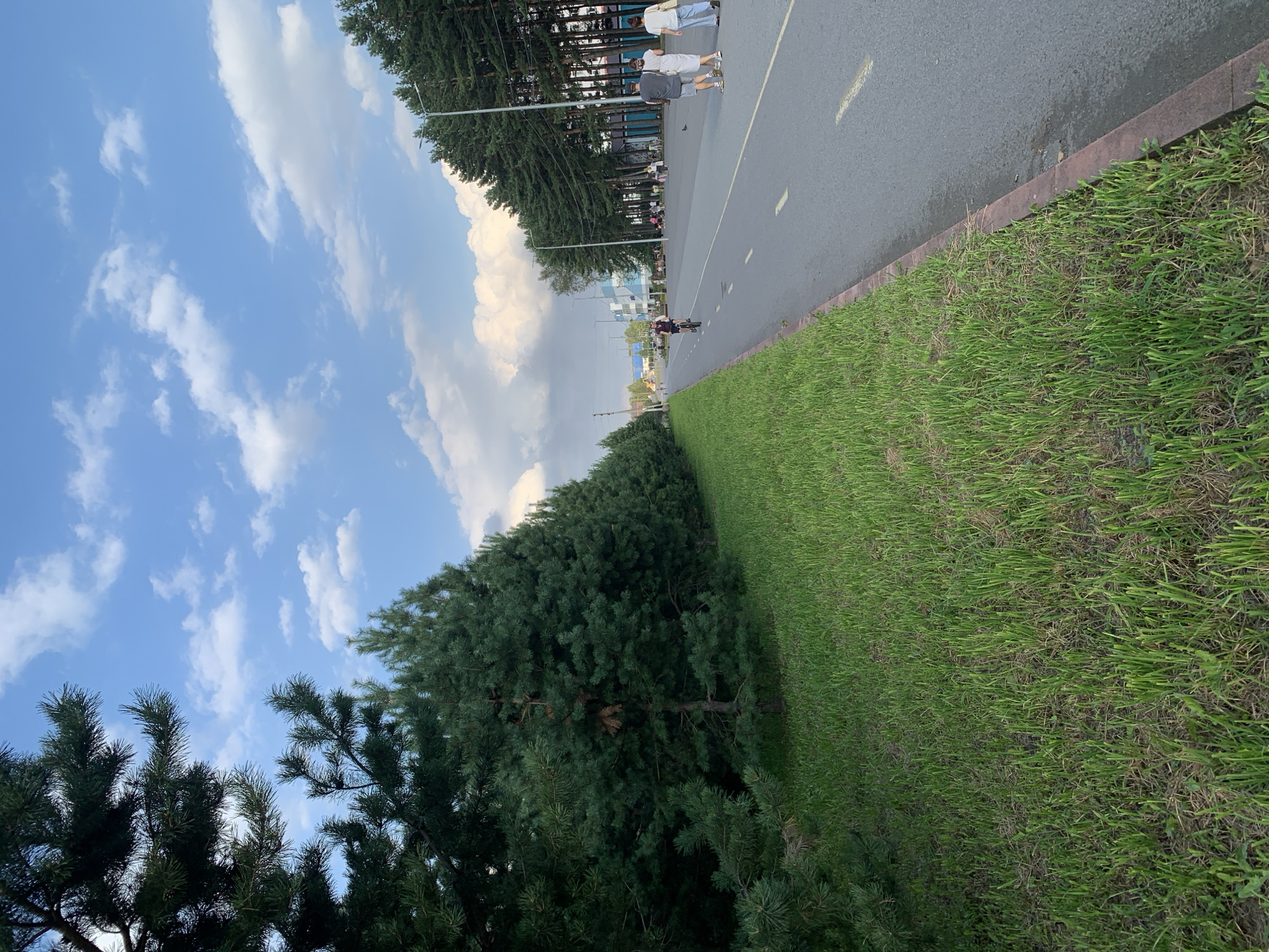 The image shows a paved path or road lined with a row of tall pine trees on the left and a row of buildings and more trees on the right. The path appears to be a pedestrian and cyclist route, with a cyclist in the middle distance and several people walking on the right side. The sky is blue with scattered white clouds. The ground on the left is covered in green grass. The overall scene suggests an outdoor recreational area within a city. The location is identified as Prokopyevsk, Russia.