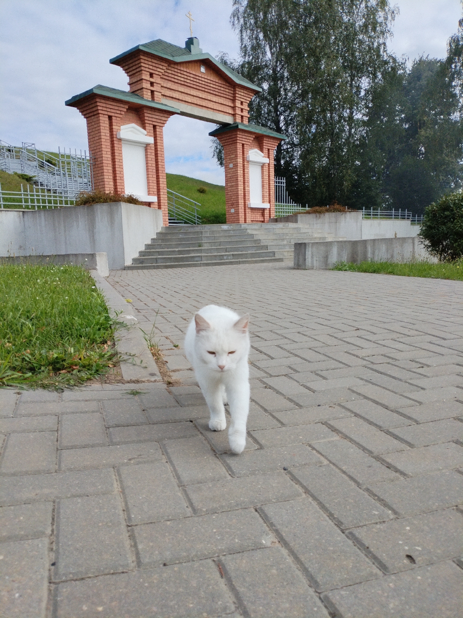 A white cat walks on a paved walkway in front of a red brick archway with a green roof and a golden cross. The archway is part of a religious complex, likely a church or monastery, in Bialynichy, Belarus. Steps lead up to the archway, and a grassy hill is visible behind it. Trees and a cloudy sky form the background. The cat is the primary subject in the foreground, captured mid-stride.