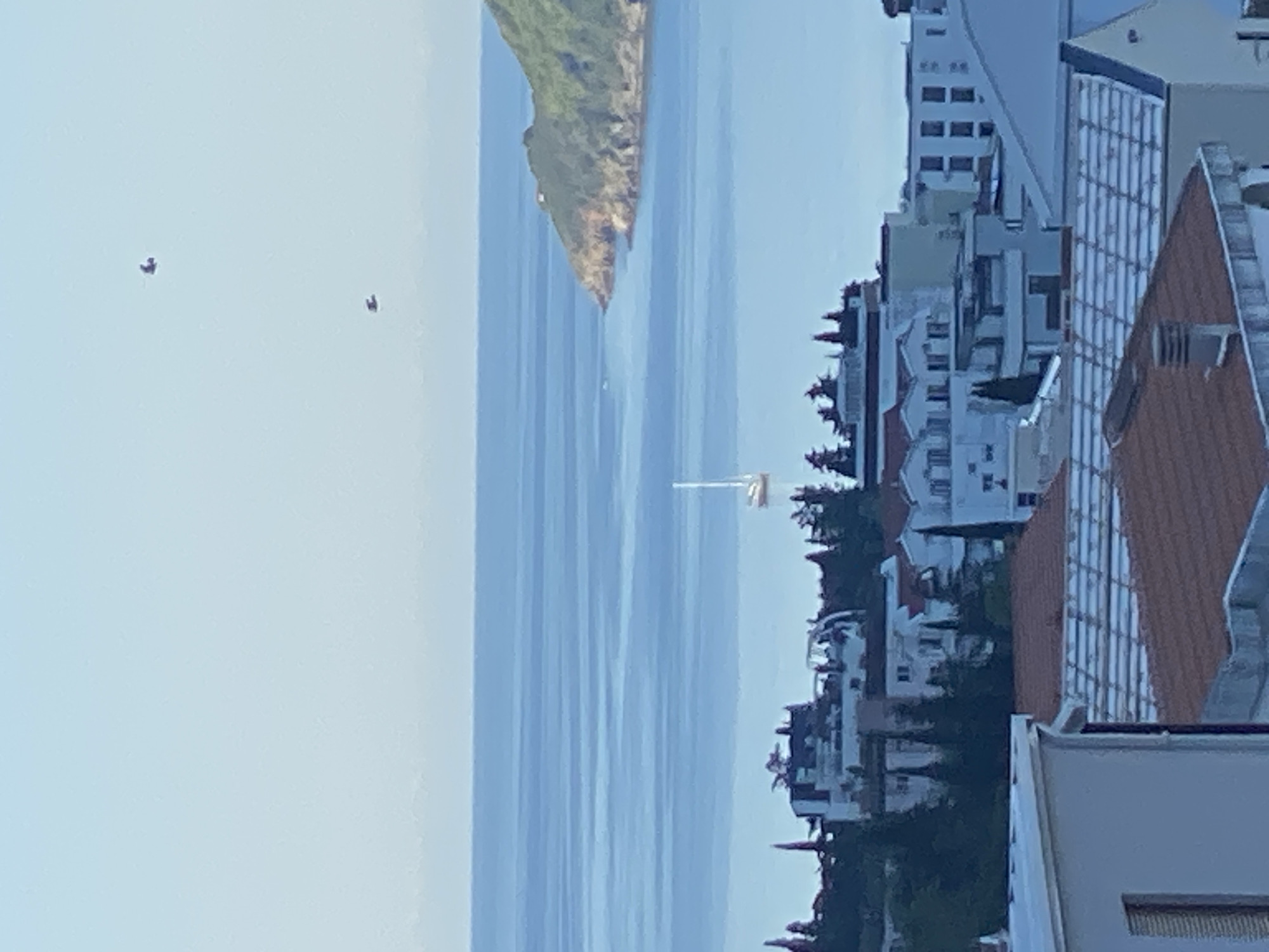 The image captures a coastal scene in Budva, Montenegro. The Adriatic Sea stretches between a verdant, rocky peninsula and the urban development along the shoreline. The water shows subtle ripples suggesting a light breeze. The sky is a pale blue, with two small, dark objects suggesting distant birds or small aircraft.
The urban development consists of white buildings with orange-tiled roofs, interspersed with trees. A sailboat is visible on the water near the coastline. The viewpoint is from an elevated position, likely from a building overlooking the scene. The photograph appears to have been rotated 90 degrees counterclockwise.
