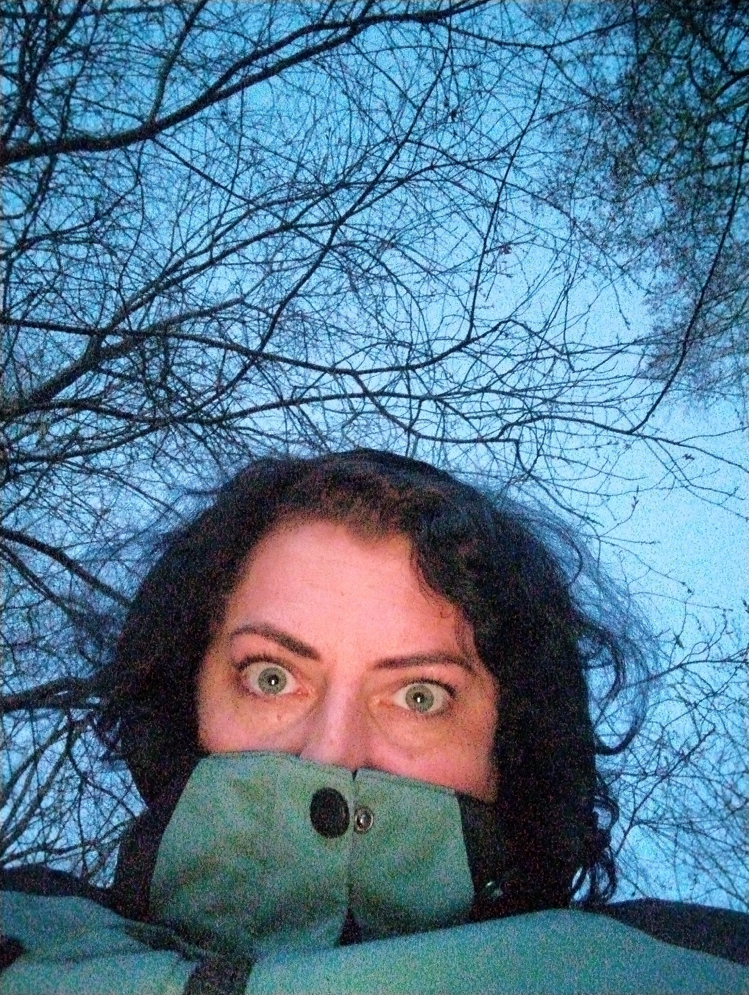 The image presents a low-angle, close-up shot of a person looking directly at the camera. The individual's face is partially obscured by a high, green or teal-colored jacket collar that covers their mouth and nose. Visible features include wide, light-colored eyes, which appear green or hazel, conveying a sense of surprise, intensity, or alertness. Dark, curly hair frames the upper portion of the face. A black snap button is discernable on the jacket's collar.
The setting is outdoors, with a clear, pale blue sky forming the background. Numerous intricate, dark, bare tree branches are silhouetted against the sky, indicating a deciduous tree during winter or early spring. The absence of direct sunlight and the sky's hue suggest the photograph was taken during twilight hours, either early morning before sunrise or late evening after sunset. The heavy jacket worn by the person reinforces the impression of cold weather. The perspective is from below, looking upwards, possibly a low-angle selfie. There is no visible text in the image. This scene is set within the provided context of Grishanki, Russia.