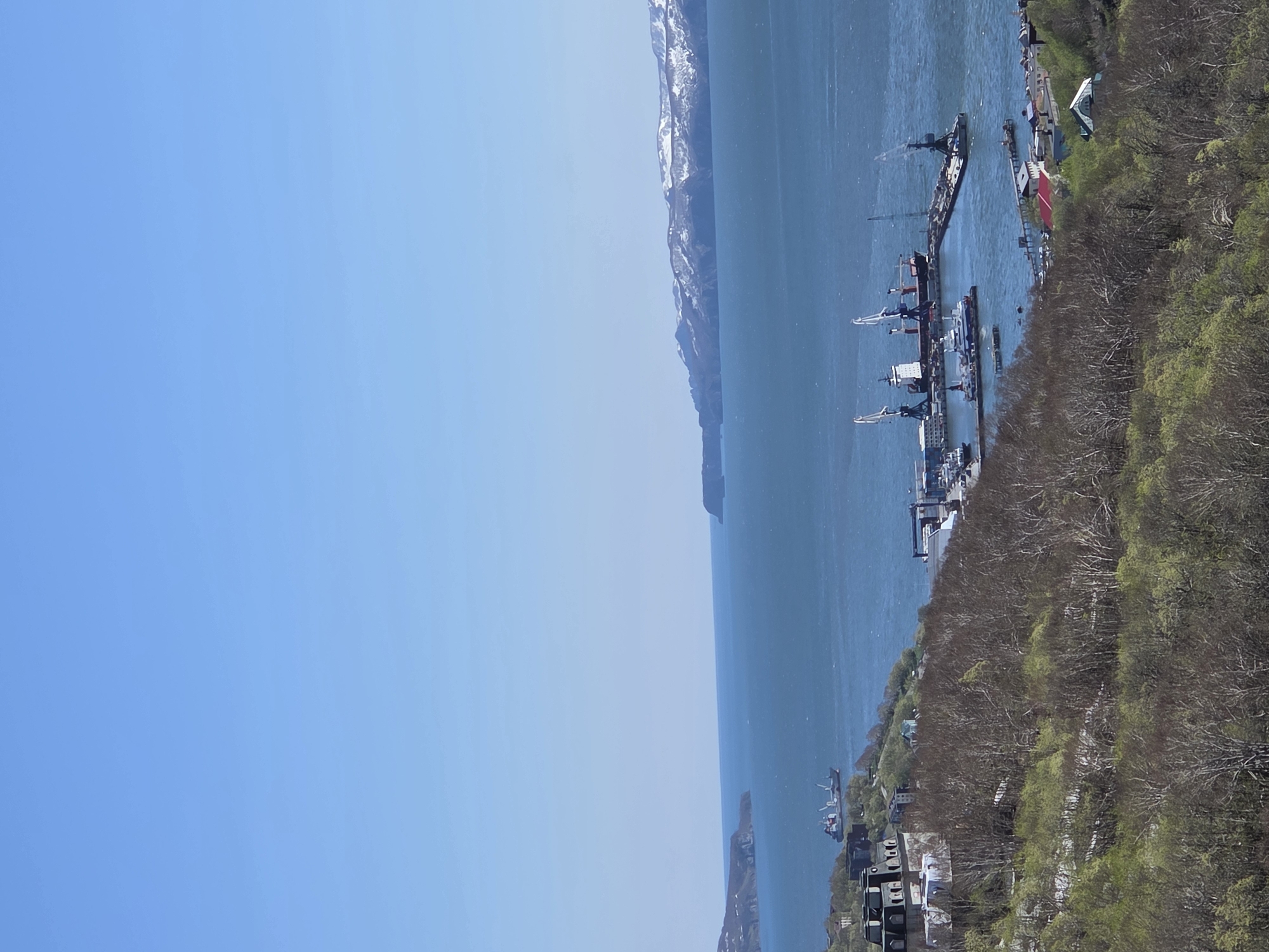 The image depicts a harbor town situated alongside a body of water, potentially a sea or large lake, bordered by mountains. The sky is clear and bright blue. The town features industrial elements such as cranes and large ships docked in the harbor. Trees are visible, some showing early spring growth. Buildings are scattered along the shoreline and on the hillside. The environment appears to be a coastal region in a mountainous area.