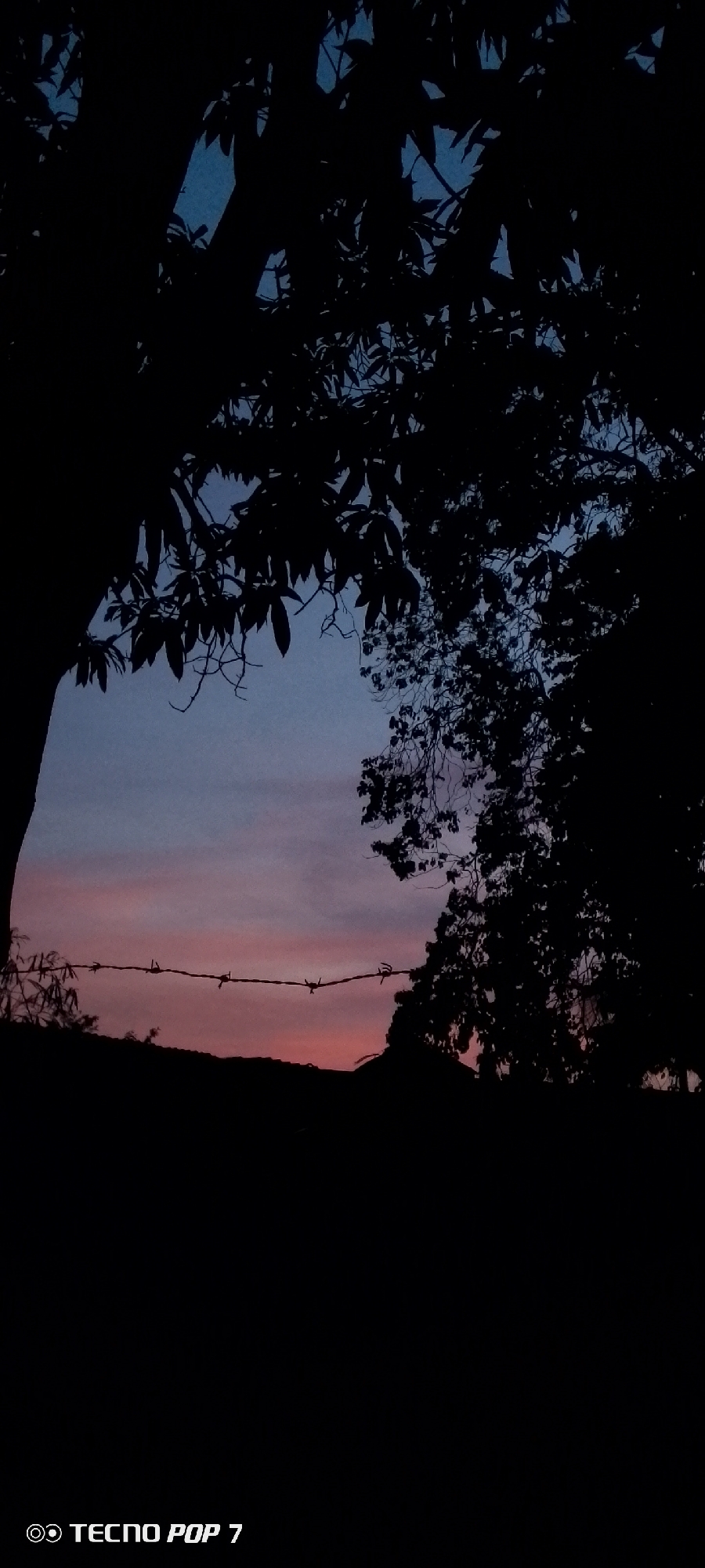 The image depicts a silhouetted landscape at dusk. A barbed wire fence stretches across the middle ground, silhouetted against a pink and orange sunset. Silhouetted trees frame the upper portion of the image, their leaves partially obscuring a blue sky. A dark, undefined shape lies below the fence, likely a hill or building. The text "TECNO POP 7" is visible in the bottom left corner. The location is unknown.