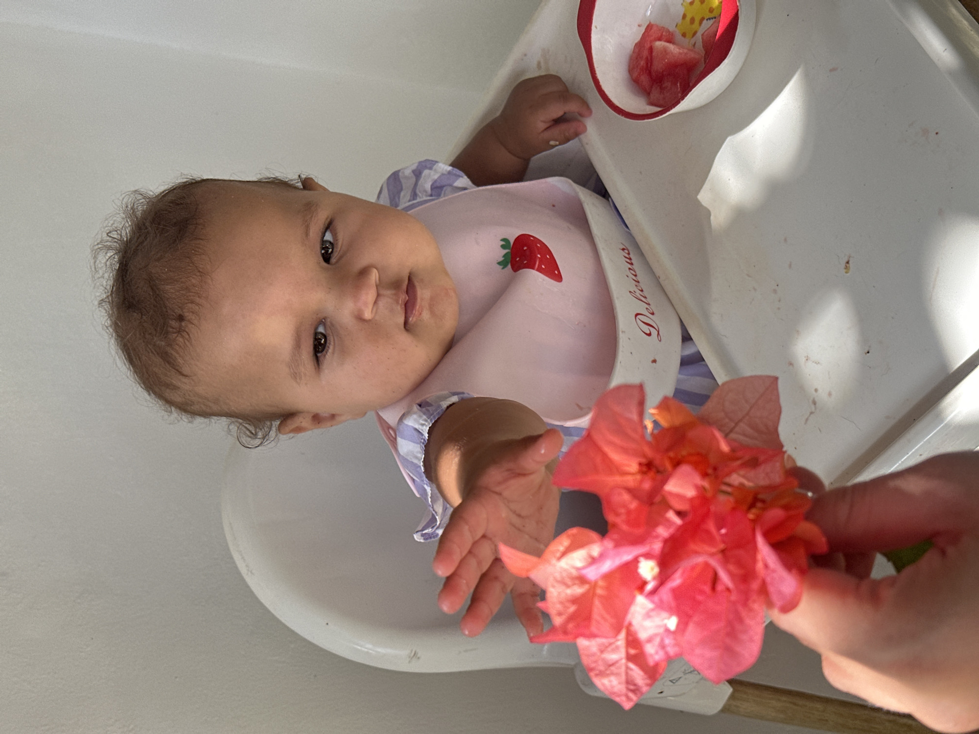 A baby sits in a high chair, reaching out towards a cluster of pink flowers held by an unseen person. The baby wears a pink bib with a strawberry design and a purple and white striped top. A small bowl containing watermelon chunks is visible to the right of the high chair. The background is a plain, light-colored wall. The scene appears to be indoors, possibly in a home environment in North Kuta, Indonesia, given the sunlight casting shadows on the tray.