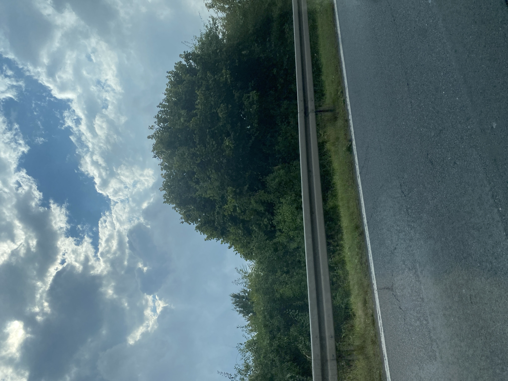 A grey asphalt road with a white line marking runs diagonally from the bottom left to the top right of the image. Adjacent to the road is a narrow strip of green grass, which transitions into a metal guardrail. Beyond the guardrail is a dense line of green trees and bushes, with a particularly large, rounded tree dominating the center of the background. Above the foliage, a partly cloudy sky is visible with patches of bright blue sky interspersed with grey, puffy clouds. The scene appears to be captured from a moving vehicle. The image location is identified as the city of Weyhe, Germany.
