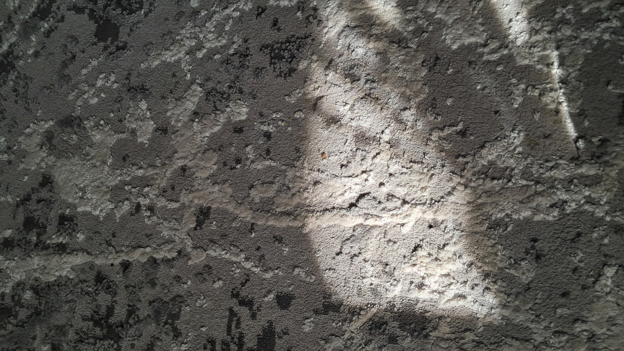 The image shows a close-up, top-down view of a textured surface, possibly a rug or carpet, with a mottled pattern of dark gray and lighter gray or white elements. The texture is uneven, with some areas appearing fluffy or raised, while others are denser and flatter. Sunlight is casting a shadow across the surface, creating a diagonal division between a brightly lit area on the right and a darker, shaded area on the left. The bright area highlights the texture of the surface, revealing small, raised bumps and fibers. The overall impression is of an indoor setting, with the natural light source suggesting it might be daytime. There are no people, objects, or discernible text visible in the image. The scene is static and purely textural, focusing on the interplay of light and shadow on the surface.