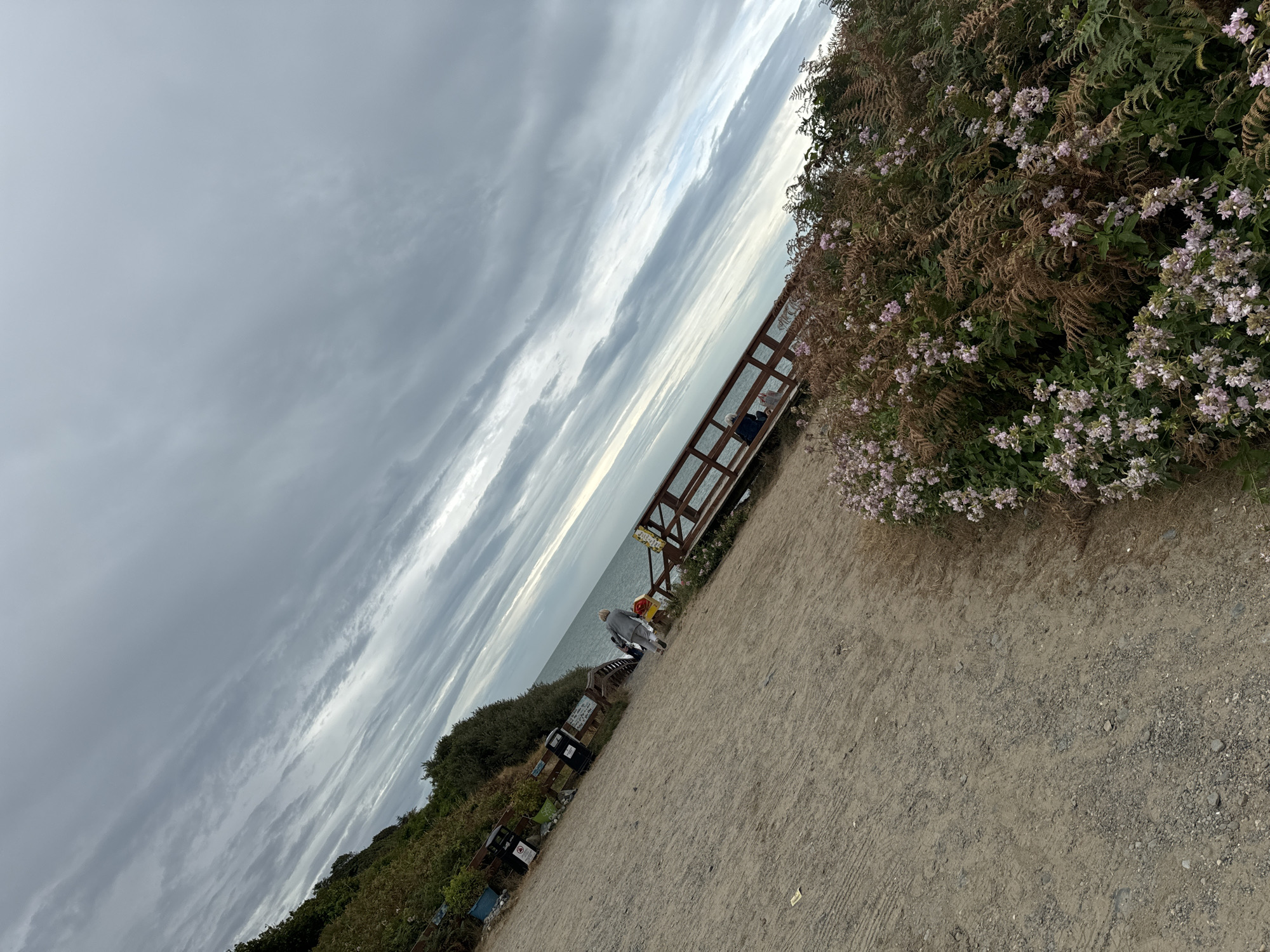 The image depicts a coastal scene in Courtown, Ireland, under a cloudy sky. A person in a light gray jacket and pants walks away from the camera along a sandy path towards a wooden boardwalk that leads down to the sea. The path is lined with greenery and some litter bins on the left. The boardwalk, made of dark wood, has a railing and appears to be used as a walkway. In the foreground, there is dense vegetation with small pink flowers and dried ferns. The sea is visible beyond the boardwalk, with the horizon line obscured by the overcast sky. The overall impression is of a somewhat overcast day at a seaside location.