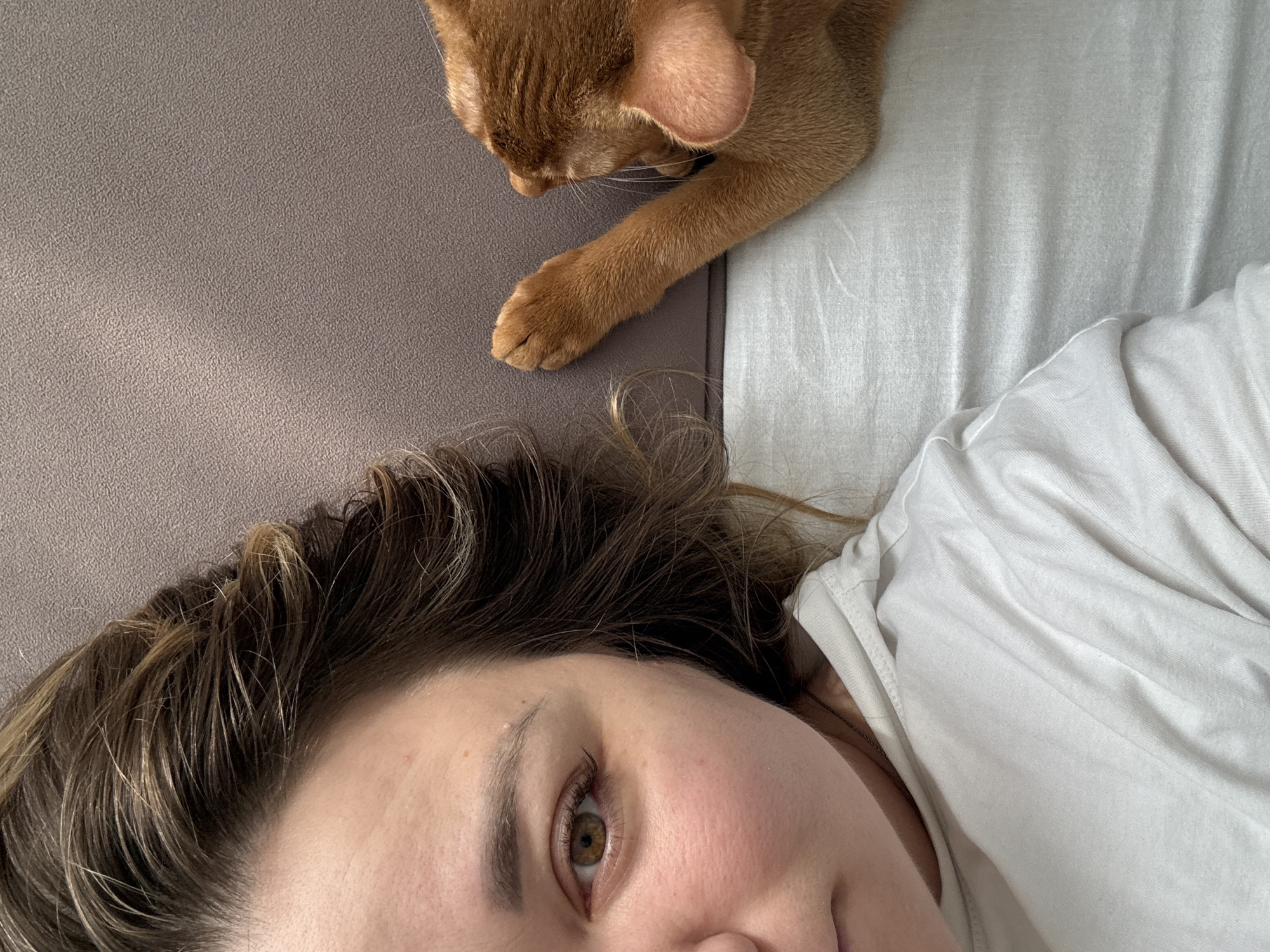 The image shows a close-up, overhead view of a person and a cat on a bed. The person, on the left, has brown hair and is looking towards the camera with one eye visible. They are wearing a white t-shirt. To the right of the person, an orange cat is lying on its side, with its paw resting near the person's head. The cat's fur is a warm reddish-brown. The background consists of a textured grey surface and a white, slightly rumpled sheet. The lighting suggests an indoor setting, possibly a bedroom. There are no discernible landmarks or features that would indicate a specific location in Stary Oskol, Russia.