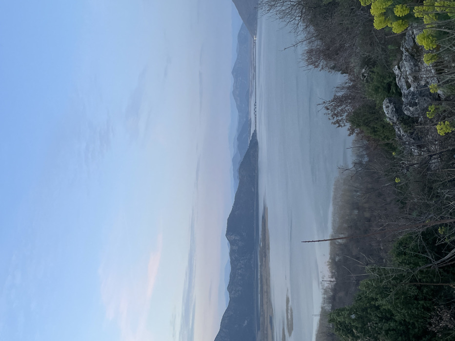 The image displays an elevated panoramic view of Lake Skadar from the vicinity of Godinje, Montenegro, captured during twilight conditions. The sky, occupying the upper portion, presents a gradient of pale blue, transitioning to a lighter, faintly pinkish-white hue near the horizon, with minimal, wispy high-altitude cloud formations.
The central and mid-distance features the expansive, placid surface of Lake Skadar, reflecting the muted sky in tones of gray-blue. The lake is bordered by a series of dark, undulating mountain ranges that recede into an atmospheric blue haze. A multi-arched bridge structure spans a distant, narrower section of the lake, connecting visible landmasses. Along the lake's near shore, particularly on the left, are areas of lighter-colored marshland or reeds.
The immediate foreground, covering the bottom third of the frame, depicts a vegetated hillside. This area includes dense dark green coniferous shrubs on the left and right. Numerous bare, dark-branched deciduous trees and shrubs extend into the view. Exposed light-colored rocks are visible on the right, interspersed with clusters of vibrant yellow-green flowering plants. No human figures, animals, or discernible actions are present within the scene, which appears static under diffused, low-angle illumination.