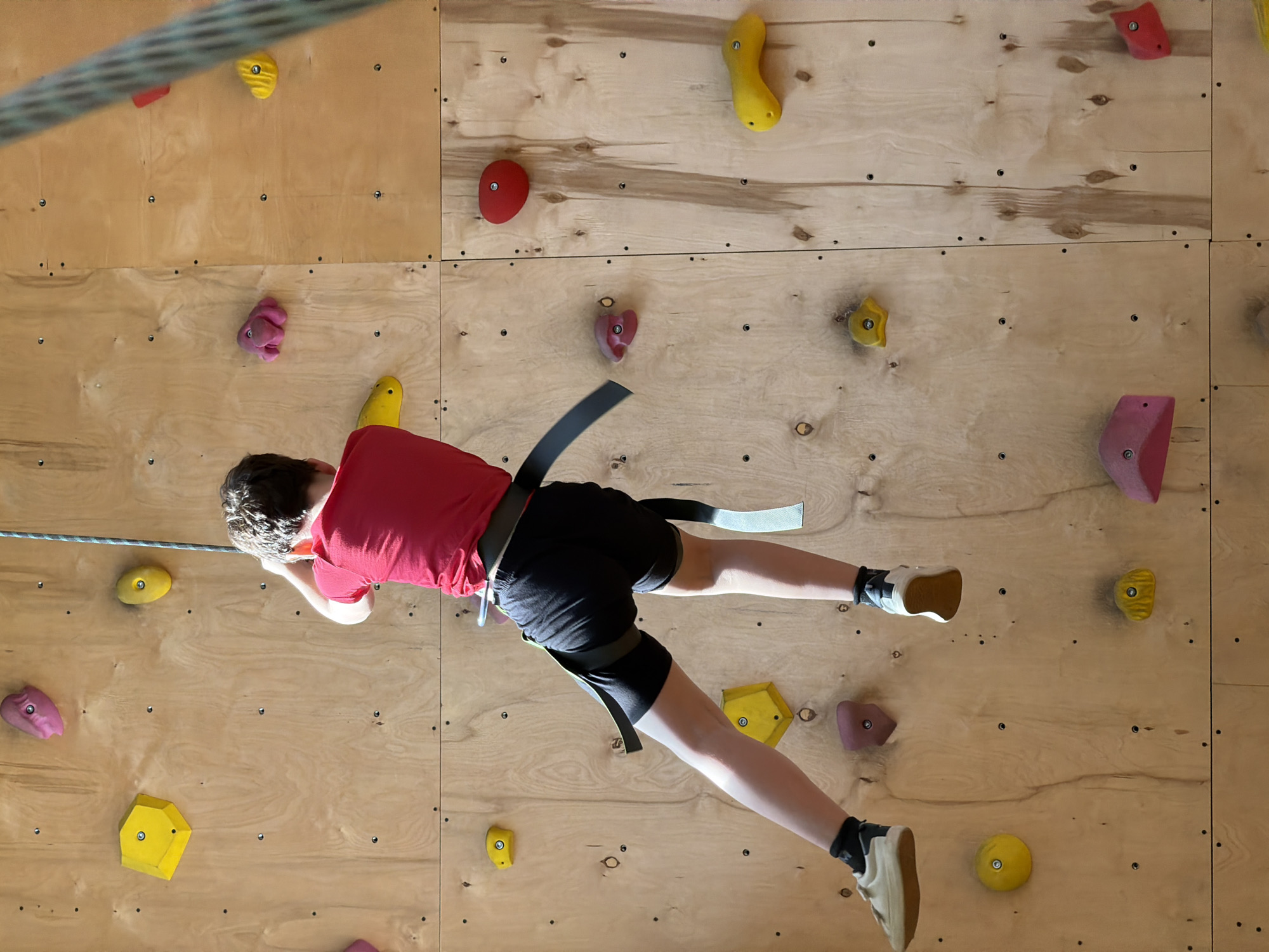 A child wearing a red shirt, black shorts, and tan shoes is suspended on a climbing wall. The child is secured with a climbing harness and rope. The climbing wall has wooden panels with various colored climbing holds attached. The lighting suggests an indoor environment. The location is not evident from the image.