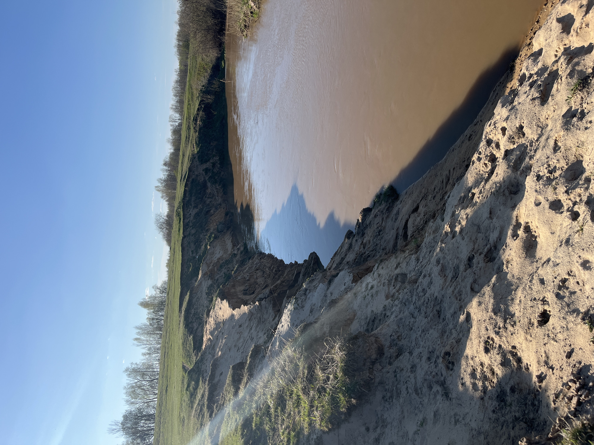 The image depicts a river with muddy water, likely located near Воронино, Russia, given the prompt. The riverbank is composed of a sandy cliff face, with sparse vegetation. On the opposite bank, there is a grassy area and trees. The sky is blue and clear.