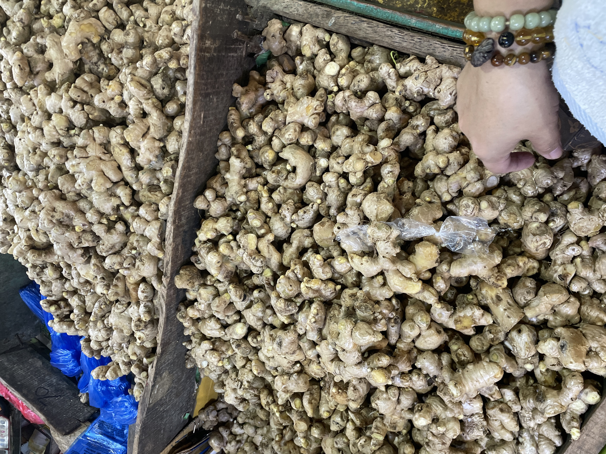 The image depicts a market stall in Davao City, Philippines, filled with a substantial quantity of ginger roots. Numerous light brown to yellowish-brown ginger rhizomes, varying in size and irregular in shape, are densely piled within at least two rough-hewn wooden containers. In the upper left background, within one of the wooden bins, several crumpled blue plastic bags are visible. In the lower right foreground, a human right hand, displaying a light to medium skin tone, enters the frame from the bottom right. The wrist is adorned with three distinct beaded bracelets: one with dark, irregular beads, another with spherical amber-like beads, and a third with spherical light green beads. The hand's fingers are slightly curled, positioned amongst the ginger, suggesting an act of selection or examination. A small, crumpled clear plastic bag is also visible within the lower pile of ginger.