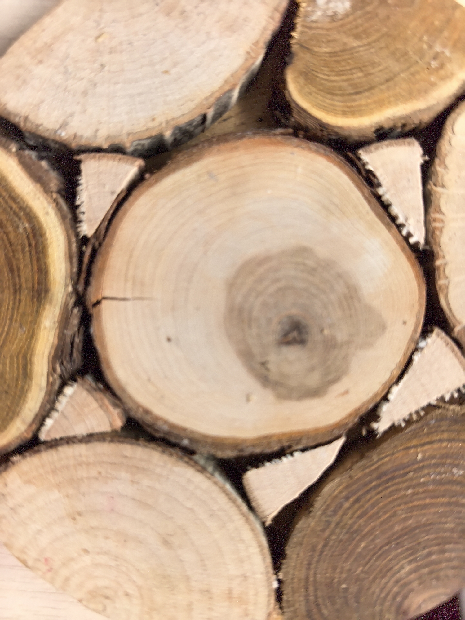 The image displays a close-up view of several circular wood slices arranged closely together. Small, triangular pieces of wood fill the spaces between the larger slices. The wood slices exhibit varying grain patterns and colorations, ranging from light beige to darker brown hues. The central wood slice features a prominent central knot and concentric growth rings. The image lacks discernible contextual information beyond the wood slices, and no specific details suggest a location in Фролы, Russia. No people, subjects, actions, or interactions are visible.