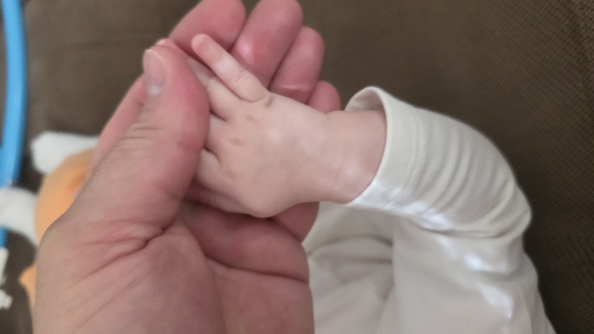 An adult hand is holding a baby's hand. The baby is wearing a white long-sleeved shirt. The background is a brown surface, possibly a couch. There is a colorful toy visible in the blurred background. The location is not discernible.