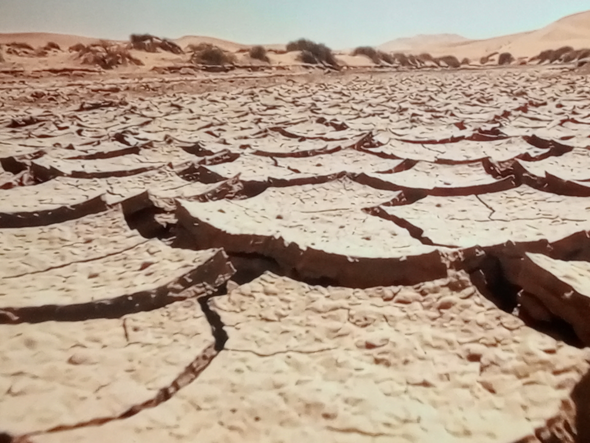 The image depicts a vast, cracked desert landscape under a clear sky. The ground is covered in a mosaic of dry, broken earth, forming irregular polygonal shapes. In the background, low, arid hills with sparse vegetation are visible. The overall impression is one of extreme dryness and desolation. The scene is a natural environment and there are no people or man-made objects present.