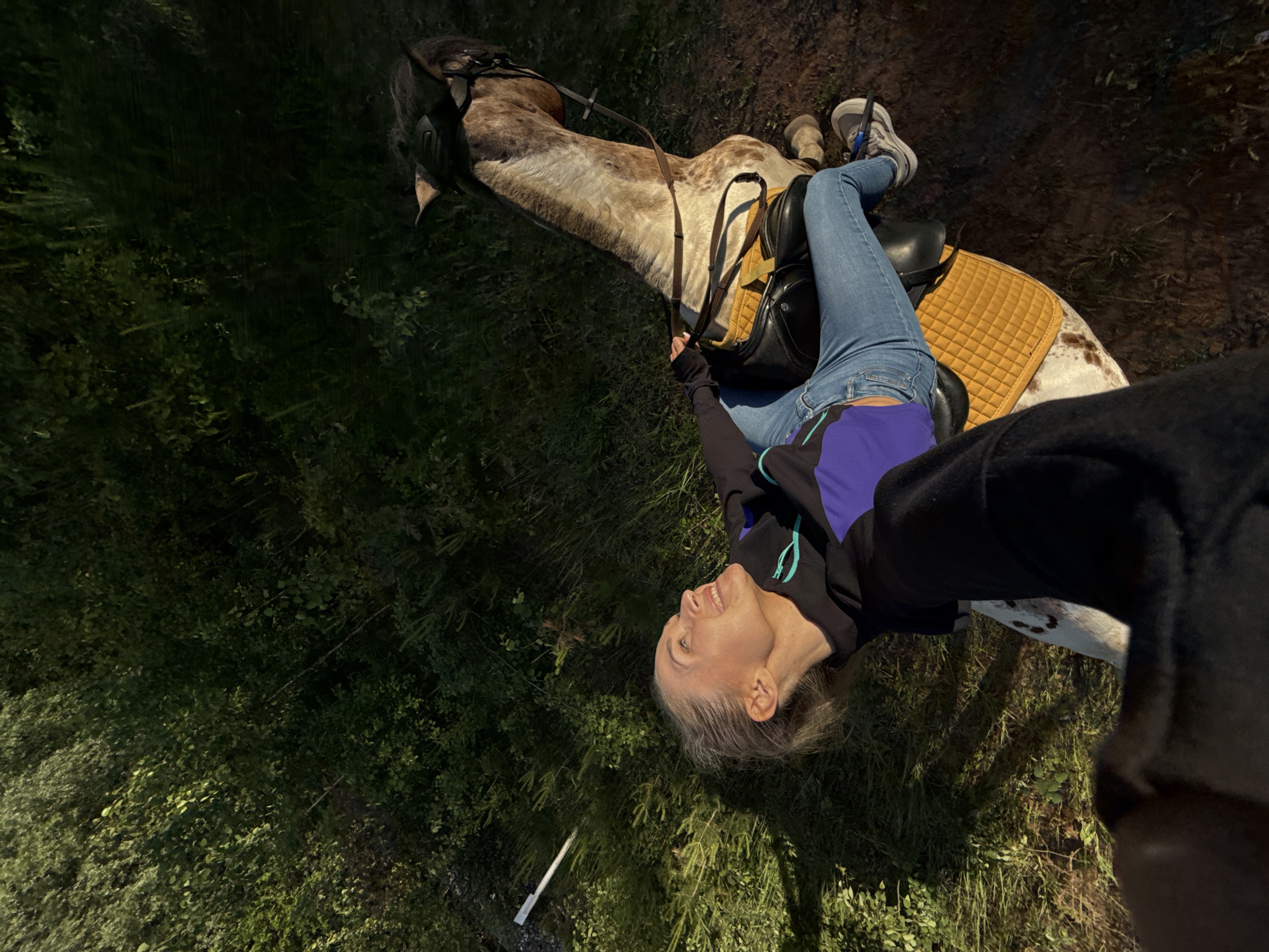 A high-angle, medium shot captures a woman riding a dappled horse. The woman, with her hair pulled back, smiles and looks upwards, her face illuminated by sunlight. She is wearing a black and purple jacket and blue jeans. The horse, with a brown and white coat, is equipped with a saddle and bridle. The scene appears to be outdoors, with lush green foliage and grass surrounding the horse and rider. The lighting suggests it is either early morning or late afternoon. The location is not specified within the image itself, and therefore cannot be determined to be in Chaikovsky, Russia.