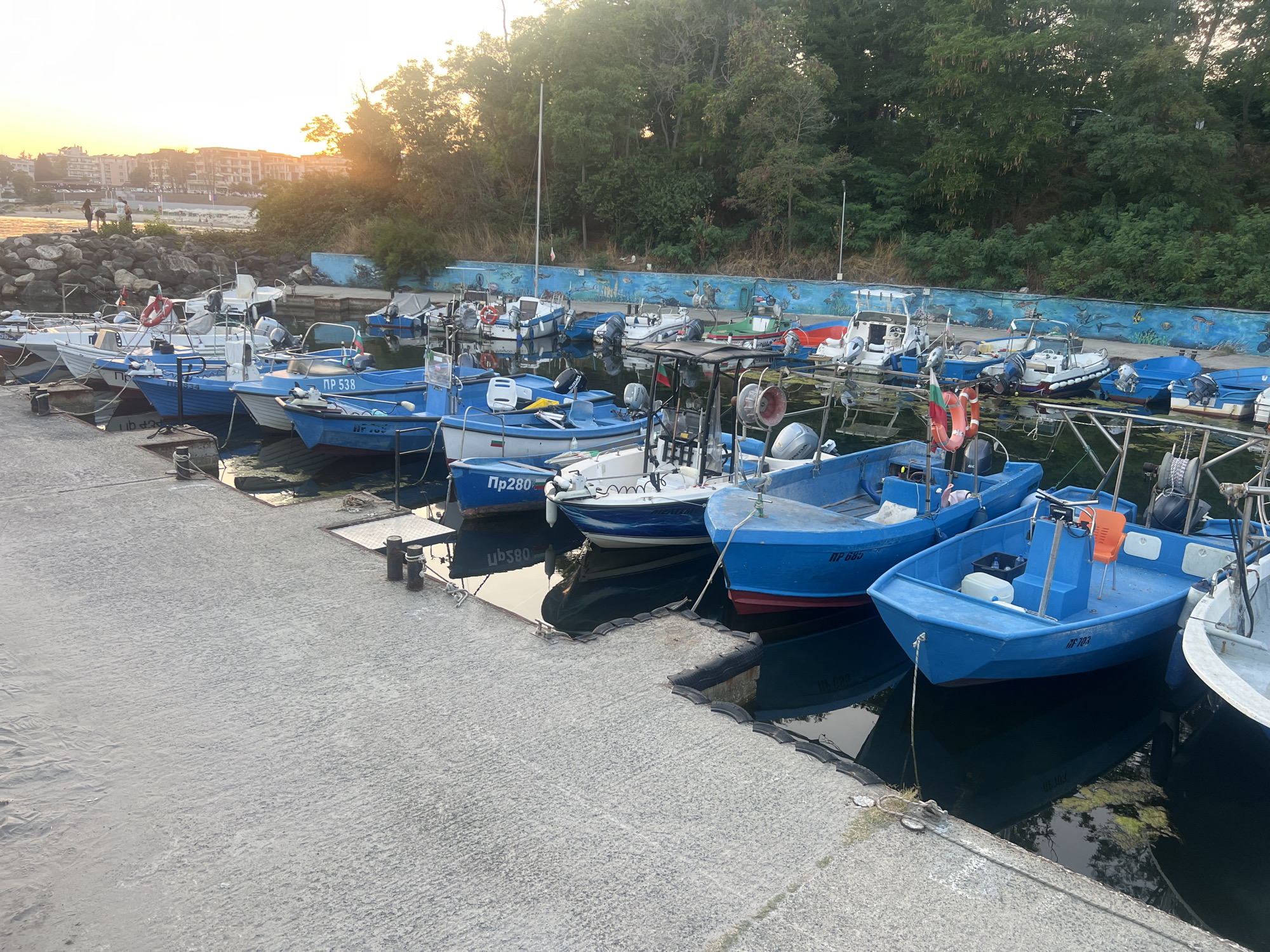 This media file depicts a serene harbor scene at dusk in Primorsko, Bulgaria. The foreground is dominated by a concrete pier with several mooring posts. A line of small, brightly colored boats, predominantly blue, are docked along the pier, their reflections shimmering on the calm water. Some of these boats have outboard motors and various fishing equipment.
In the mid-ground, a blue wall with a whimsical mural of marine life and seabirds separates the harbor from a lush green treeline that forms the background. The setting sun casts a warm, golden glow across the sky, illuminating the buildings of a town visible in the distance. A few people are standing on a rocky embankment to the left, seemingly observing the sunset or the harbor.
The time of day is clearly sunset, as indicated by the soft, diffused light and the low angle of the sun filtering through the trees. The weather appears to be calm and pleasant, suitable for a harbor setting.
Visible text includes registration numbers on the boats, such as "ПР 538", "ПР 280", and "ПР 703". Another boat has "MP 685" visible. There are also some obscured markings on other boats. The overall mood is peaceful and tranquil, capturing the end of a day by the sea.