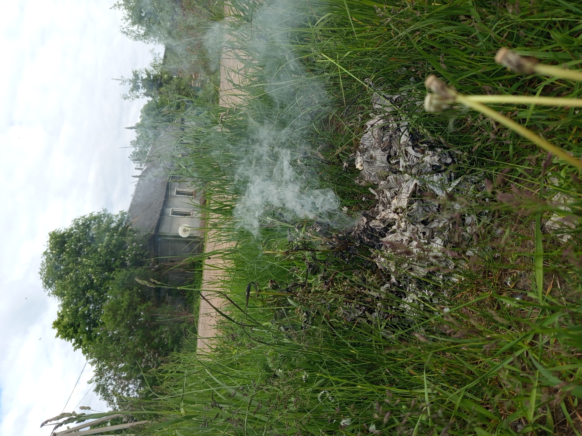 The scene depicts a grassy area in Ostrovtsy, Russia, with a small pile of smoldering debris in the foreground. The debris appears to be primarily paper or similar material, partially burned and emitting smoke. The grass surrounding the pile is green and tall, interspersed with various weeds and seed heads. In the background, a weathered grey building with visible windows and a gabled roof is partially obscured by trees in full foliage. A dirt road or path runs behind the building, parallel to the grass. The sky is overcast, suggesting a cloudy day. There are no people visible in the scene.