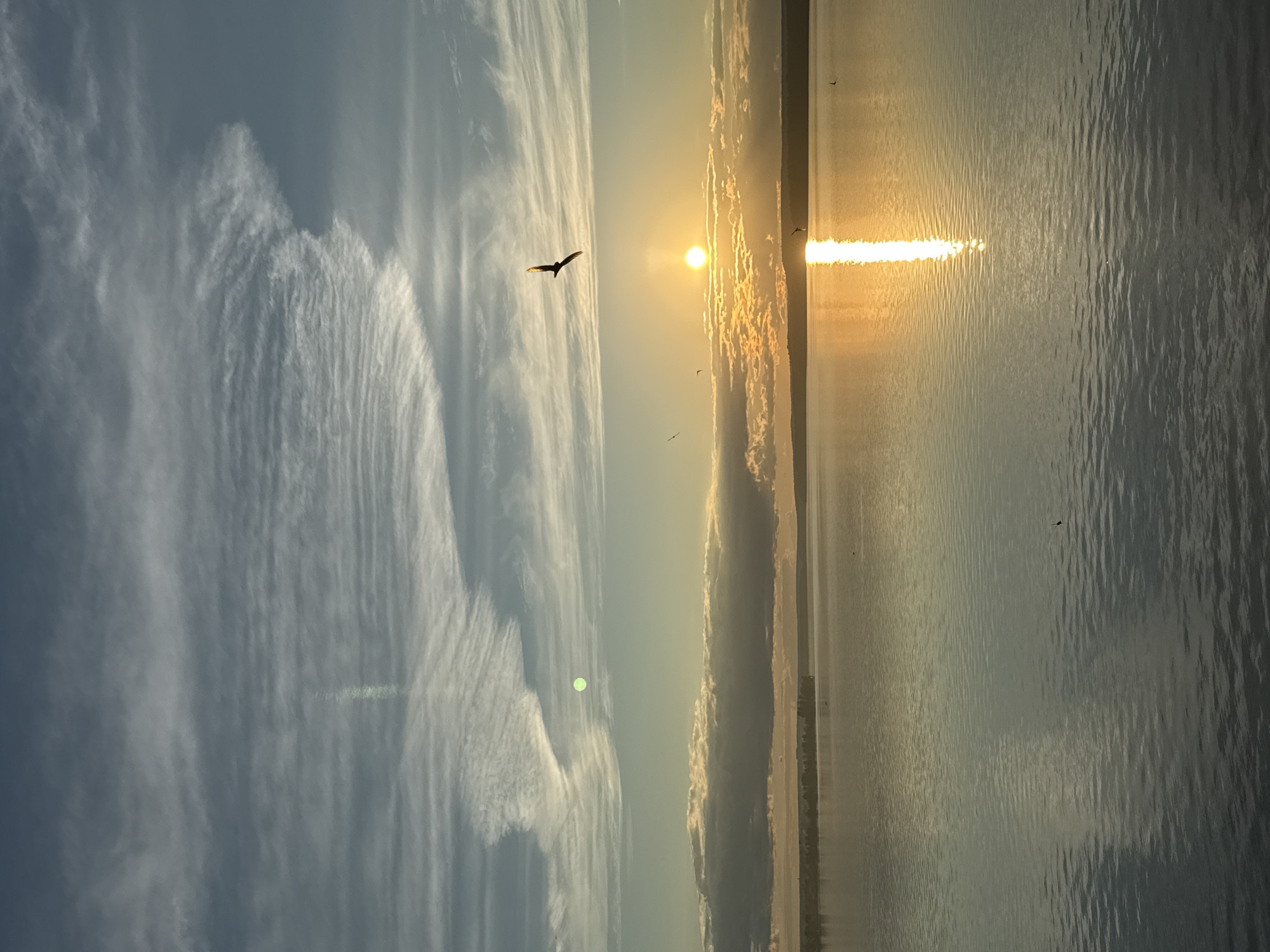 The image depicts a serene sunrise over a calm body of water, likely the Votkinsk Reservoir in Votkinsk, Russia. The sky is a gradient of blue and gray, with wispy clouds stretching across the upper half of the frame. A brilliant sun, low on the horizon, casts a golden glow and a shimmering reflection on the water's surface. In the foreground, the water is a muted gray-blue, with gentle ripples indicating minimal movement. A single bird is captured in mid-flight against the bright sky, its silhouette dark against the sun. Another bird can be seen in the distance, closer to the water. The far bank of the reservoir is lined with trees, appearing as a dark, slightly blurred band against the horizon. The overall atmosphere is one of tranquility and natural beauty.