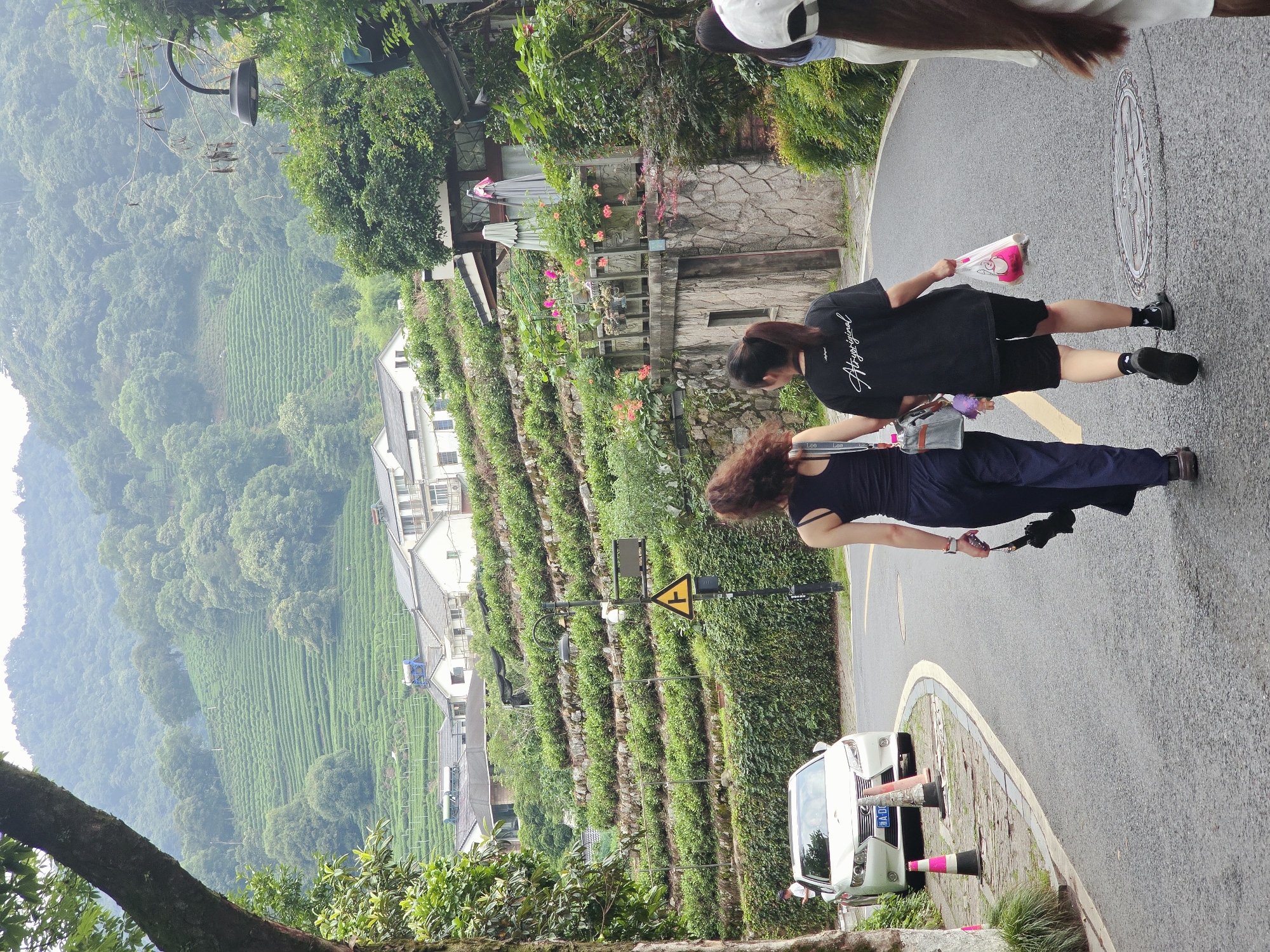 In Xihu District, China, two young women walk down a paved road with a white car parked on the left. The road curves gently, leading past lush green terraces of tea bushes ascending a misty mountain. Buildings with white walls and grey tiled roofs are interspersed among the tea fields. The women are walking away from the camera, one in a black tank top and navy pants, carrying a black umbrella and a grey purse, the other in a black t-shirt and black shorts, carrying a white plastic bag with pink items inside. They are walking on the right side of the road. A lamppost with a yellow triangular warning sign is visible on the right side of the road. The environment is verdant and mountainous, with dense foliage and a generally overcast sky.