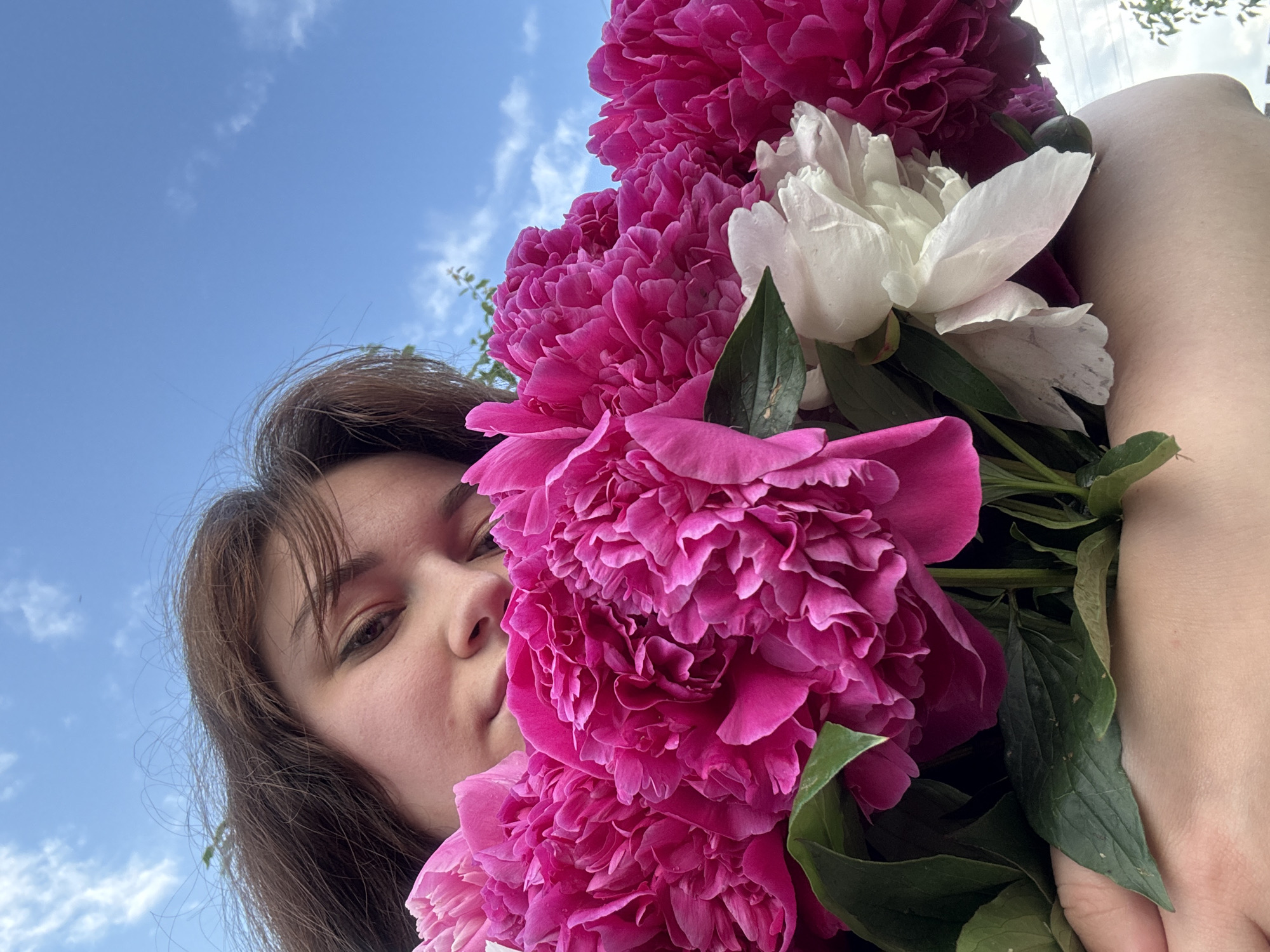 A close-up, low-angle shot shows a young woman holding a large bouquet of pink and white peonies against a bright blue sky with scattered white clouds. The woman's head is tilted downwards, her dark brown hair falling around her face, which is partially obscured by the flowers. Her eyes are closed, and she appears to be looking down or resting her head on the bouquet. The peonies are vibrant and fully bloomed, filling most of the frame. The sky occupies the upper portion of the image, suggesting an outdoor setting. No specific location in Niva, Russia, can be determined from the visual information.