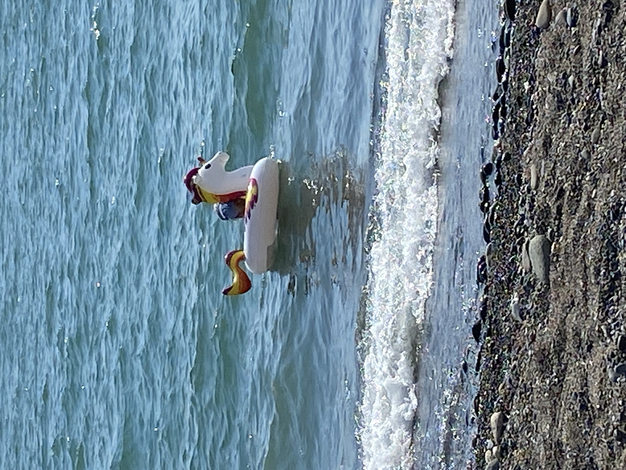 An inflatable unicorn pool float is floating on the water near a pebbled beach. The water is blue and slightly choppy, with small waves lapping at the shore. The unicorn float is white with a rainbow-colored mane and tail, and a dark blue saddle. It is positioned in the middle of the frame, with the beach in the foreground and the open water stretching out behind it. The sky is not visible in the frame. The location is Chabkwara, Abkhazia.