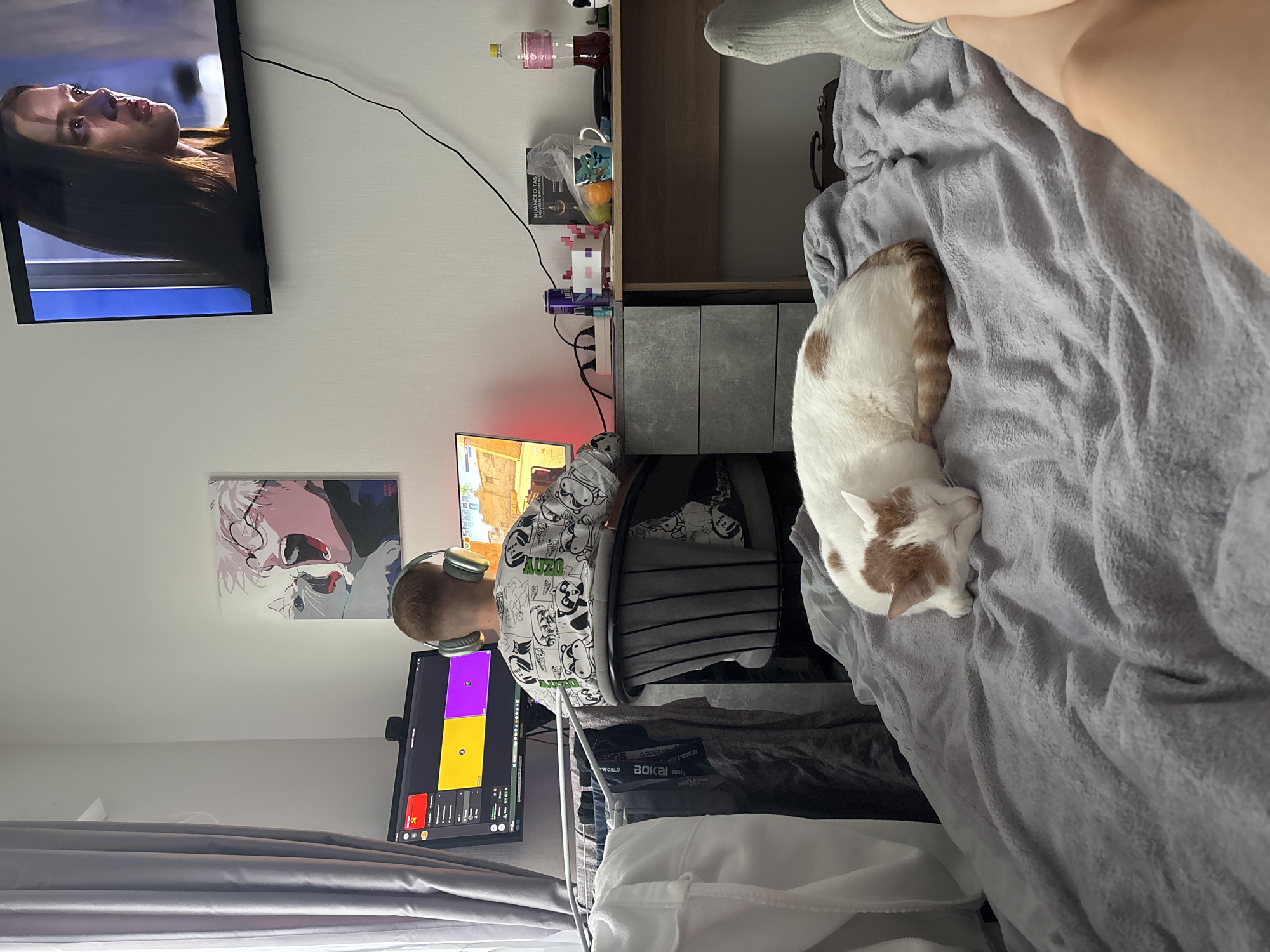 A person wearing headphones and a patterned shirt is seated at a desk with two computer monitors, one displaying a colorful grid, while a cat sleeps on a grey blanket next to them. A television is mounted on the wall, displaying an image of a woman's face. A poster is visible on the wall above the desk. The location is possibly indoors and there is no visual information to confirm the location as Ligolambi, Russia.