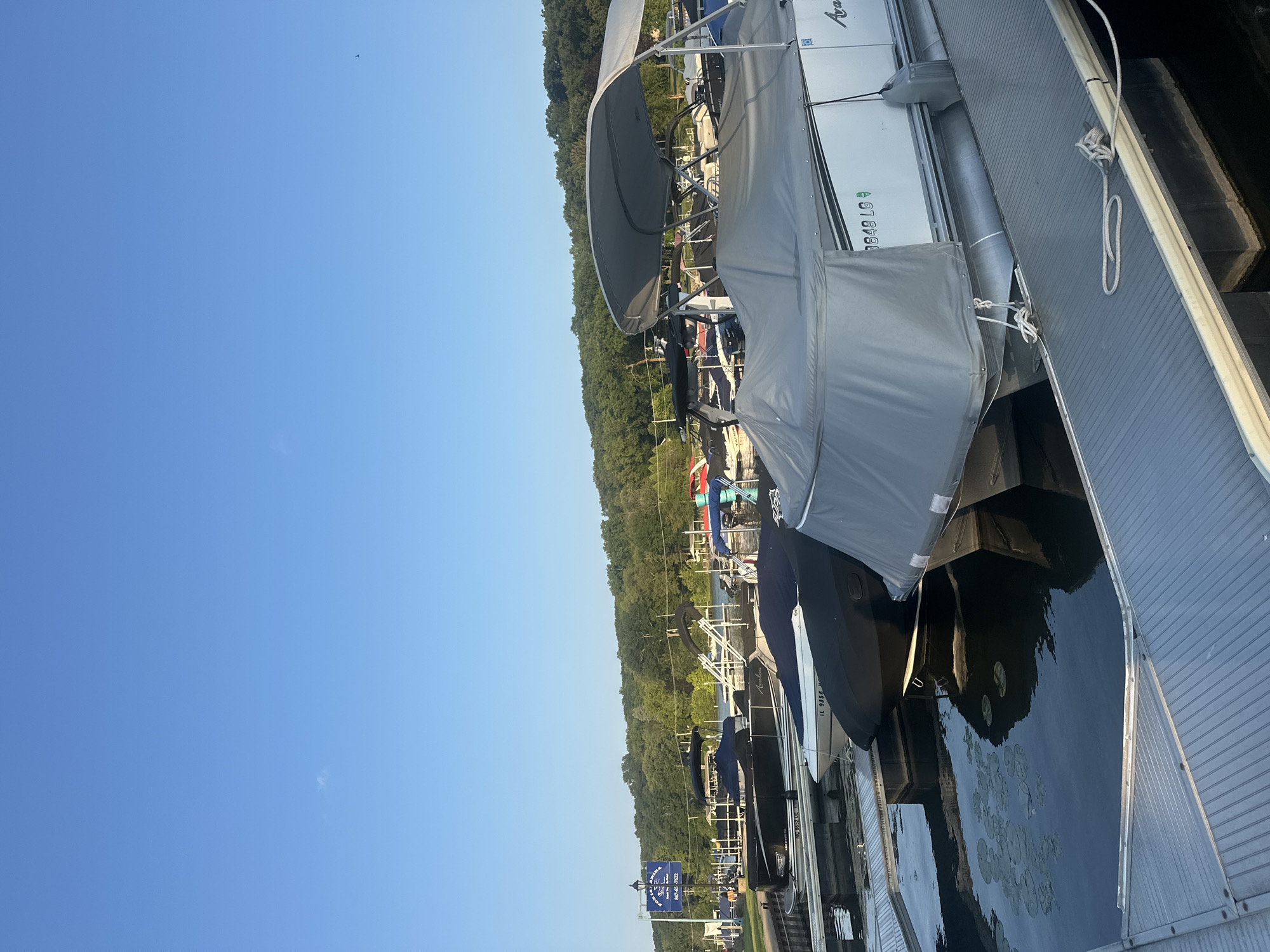 An outdoor, eye-level, long shot captures a marina in Algonquin, Illinois, USA. The sky is clear and blue. The foreground is dominated by a gray-colored dock, with a white rope tied to a railing on the right side of the frame. Adjacent to the dock, a white pontoon boat is moored. This boat is partially covered by a gray tarp and has a gray canopy. The boat has the registration number "IL 3649 LG" printed on its side. To the left of this boat, another pontoon boat, this one black and white, is also moored. This boat is covered by a black tarp and has the registration "MC 6832 UE" visible. In the background, a line of moored boats extends to the left, and beyond them, a lush, tree-covered hillside rises under the clear sky. A sign for "Fox Lake Marina" is visible on the left, attached to a lamppost. The water in the marina is dark and still, with lily pads visible in the lower left corner.