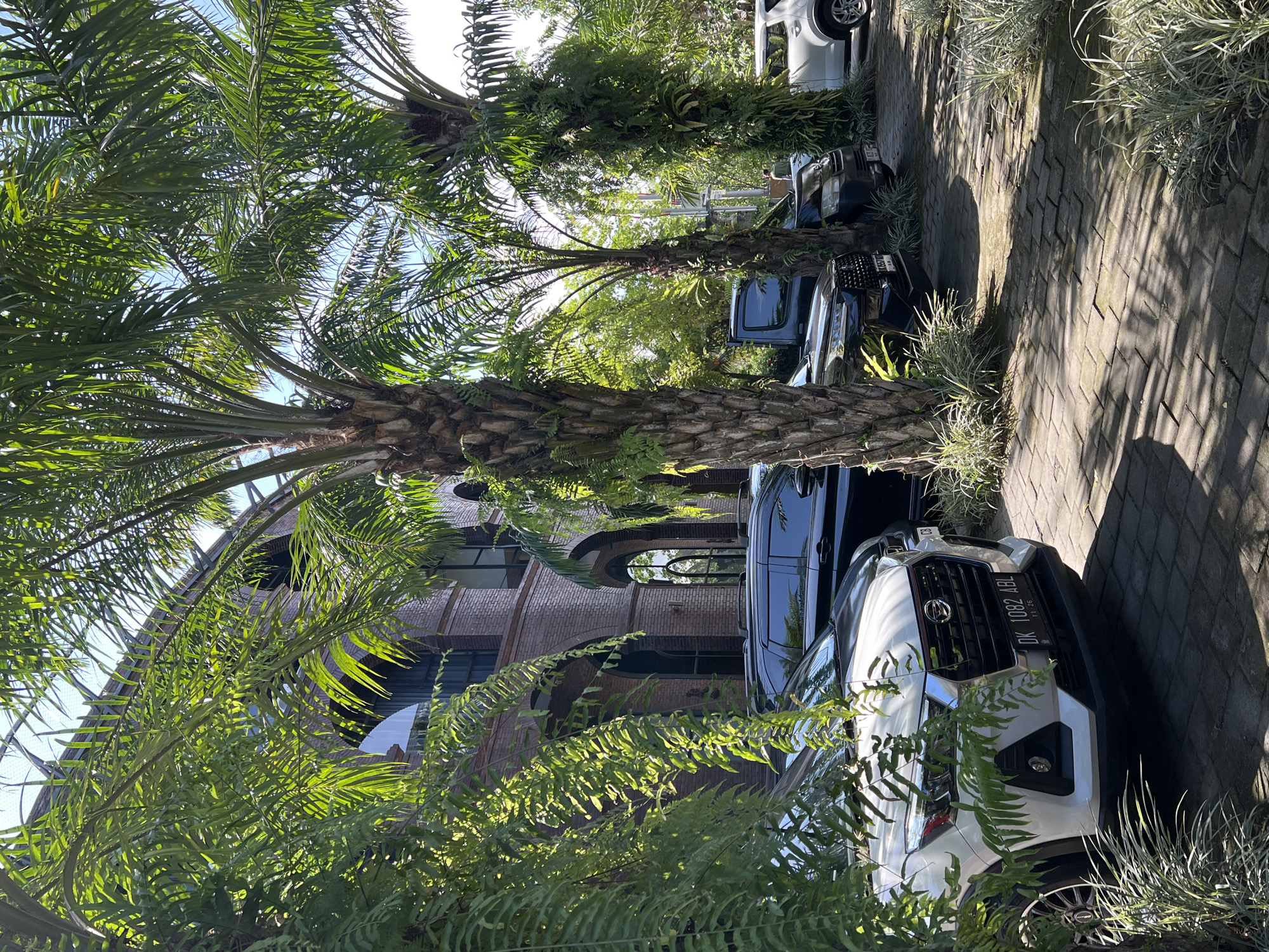 The scene is an outdoor view in Petulu, Indonesia, featuring a line of parked cars along a brick-paved driveway. The cars are partially obscured by palm trees and other lush greenery. A multi-story brick building is visible in the background, with arched openings and windowed sections. The scene is captured in daylight. The cars consist of a white car at the front. Further down the driveway is a black car.