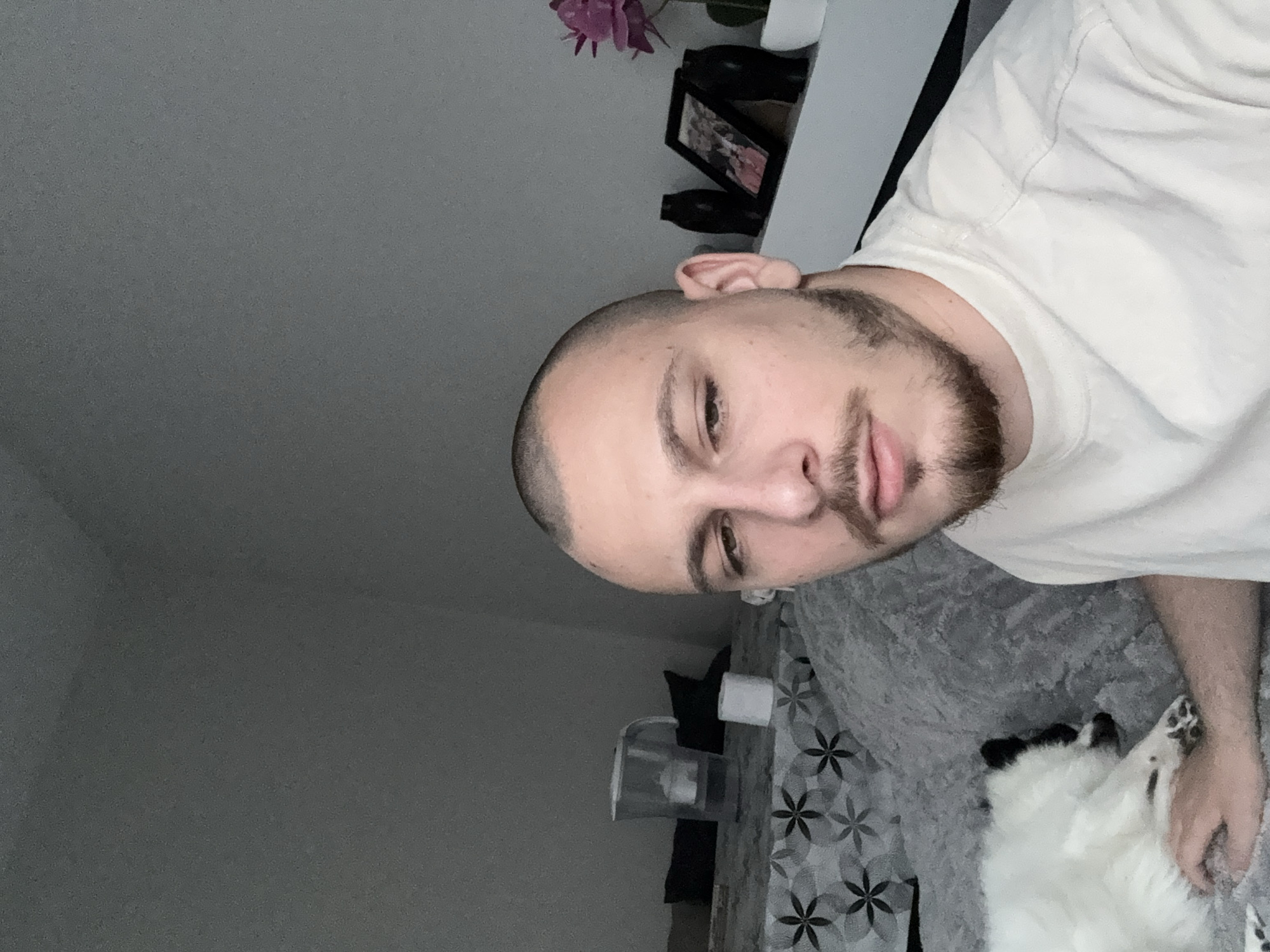 An indoor selfie captures a young man with a shaved head and a beard, wearing a light-colored t-shirt. He looks directly at the camera with a neutral expression, his head tilted. To the lower right, a white and black dog is visible, lying on its back on a gray blanket with a repeating geometric or floral pattern. In the background, a light gray wall forms the backdrop. On a shelf mounted on this wall, a pink artificial flower, two black decorative vases, and a small framed picture are arranged. Near the man's body, on the patterned surface, there is a clear container with a white object inside, possibly a candle or diffuser, and another small white object next to it. The setting appears to be a home, likely a bedroom or living room, illuminated by artificial light. The scene is situated in Stara Zagora, Bulgaria. No visible text is present in the image.