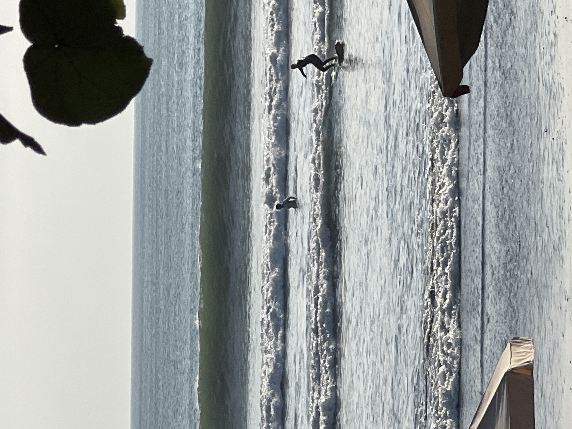 In the city of Kuta, Indonesia, the image captures a serene ocean scene. The horizon is marked by a clear sky merging with the tranquil blue waters of the ocean. Gentle waves roll towards the shore, creating a shimmering effect on the water's surface. In the distance, a lone surfer is actively riding a wave, skillfully balancing on their board. Another individual is visible further out in the water, seemingly wading or preparing to surf. In the foreground, parts of beach umbrellas are visible, suggesting a public beach area. The overall atmosphere is peaceful and indicative of a typical day at the beach.