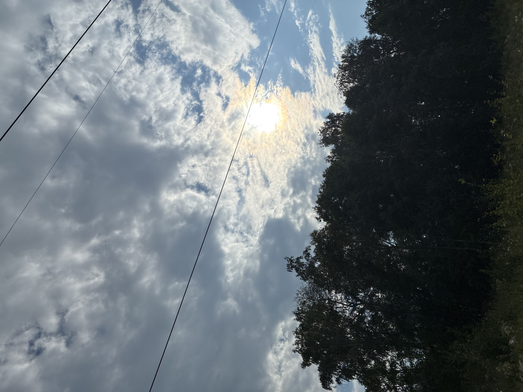 The image captures a view of a tree line against a cloudy sky with the sun peeking through. Several thin, dark power lines are visible in the upper portion of the frame, stretching across the sky. The trees in the foreground are dark and dense, silhouetted against the brighter sky. Some of the trees appear to be birch trees, recognizable by their lighter bark where visible. The sky is filled with a mix of white and gray clouds, with patches of blue sky visible in between. The sun is positioned slightly off-center, creating a bright halo effect as its rays diffuse through the clouds. Below the tree line, there is a strip of dry grass and vegetation. The scene suggests an outdoor setting in a rural or semi-rural area, possibly on the outskirts of Маркова, Russia, given the presence of power lines often found in such locations. There are no people or active events depicted in the image.